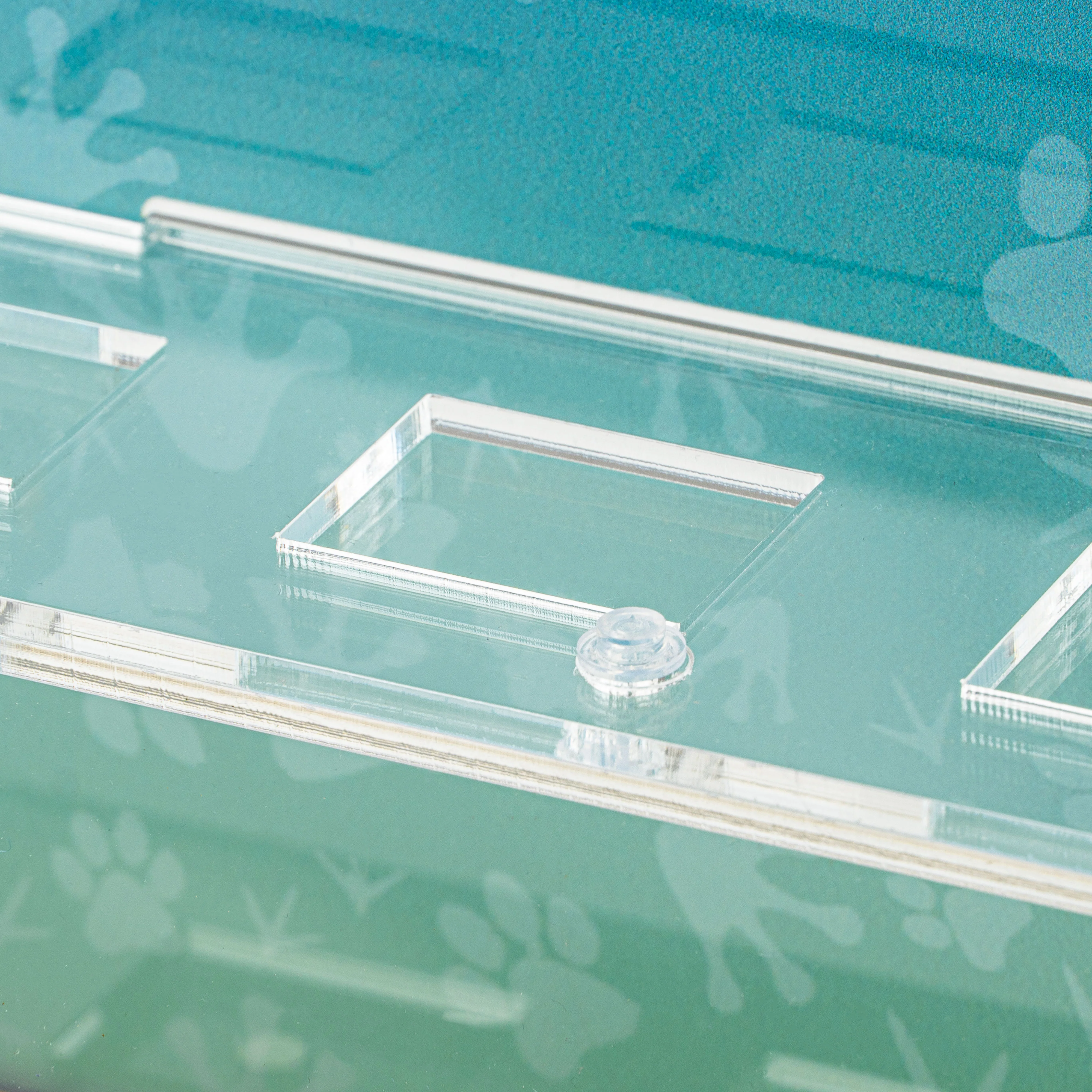 Display Case for LEGO® Collectible Minifigures™: Animals Series 28 (71051) - Image 6