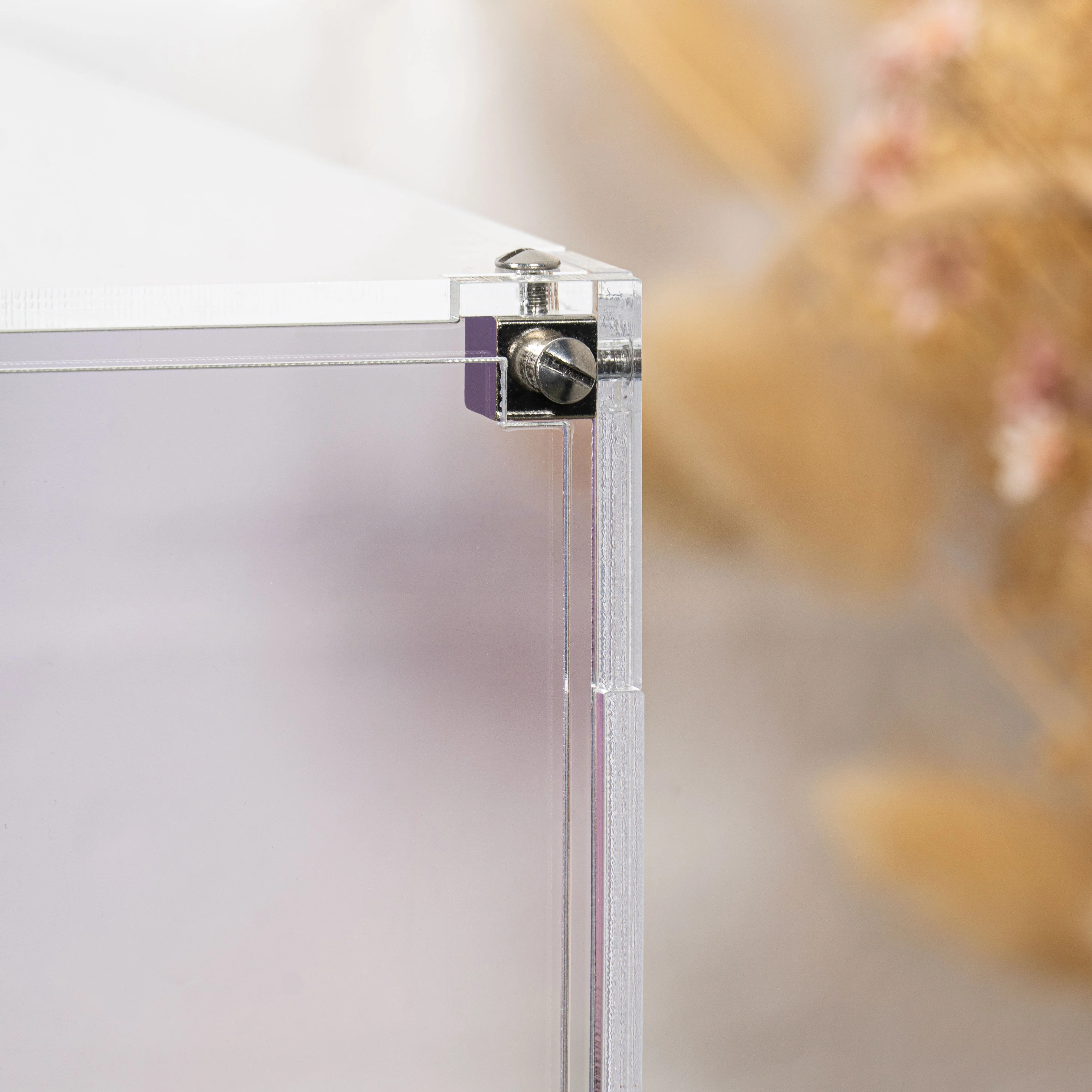 Display Case for LEGO® Icons: Natural History Museum (10326) - Image 9