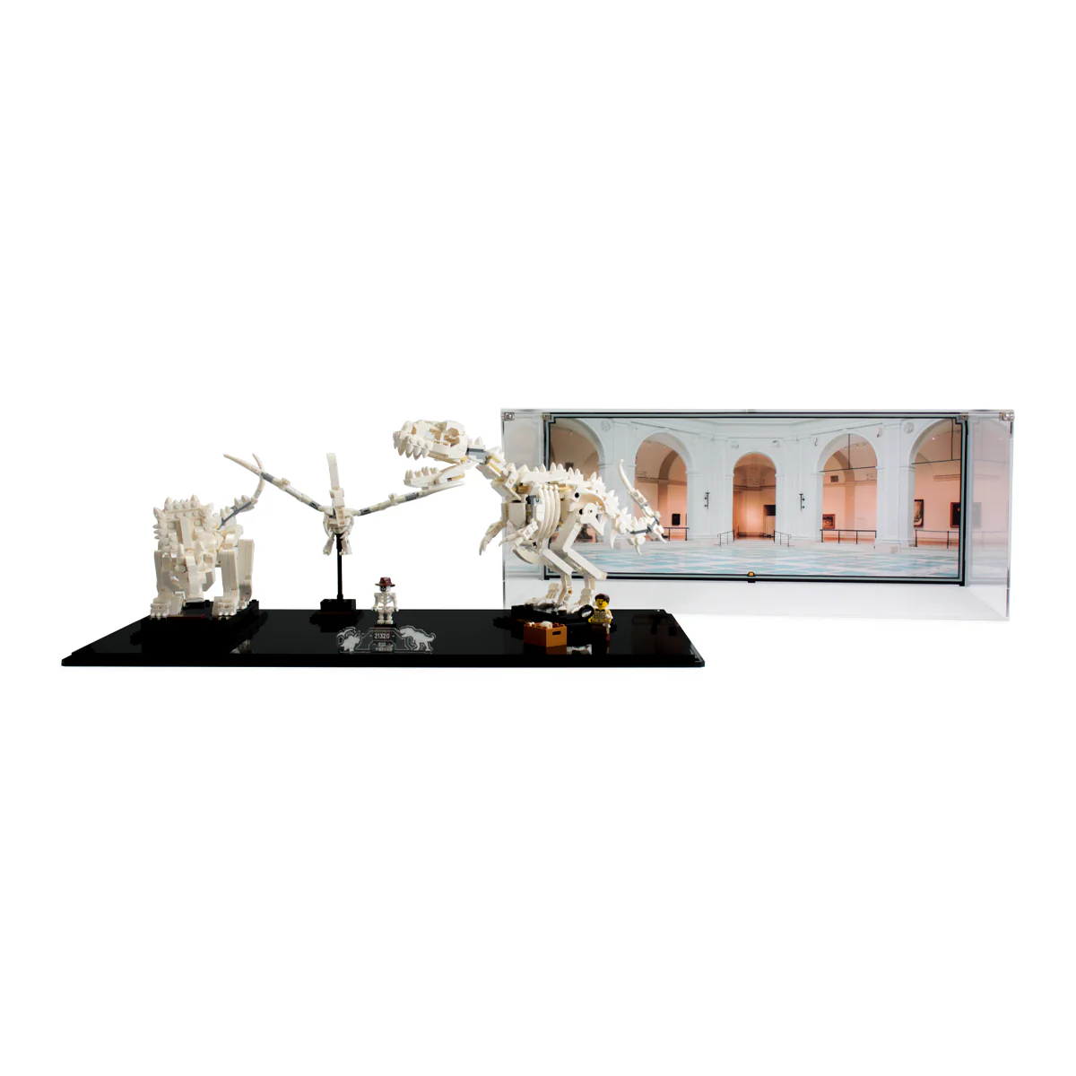 Display Case for LEGO® Ideas: Dinosaur Fossils (21320) - Image 3