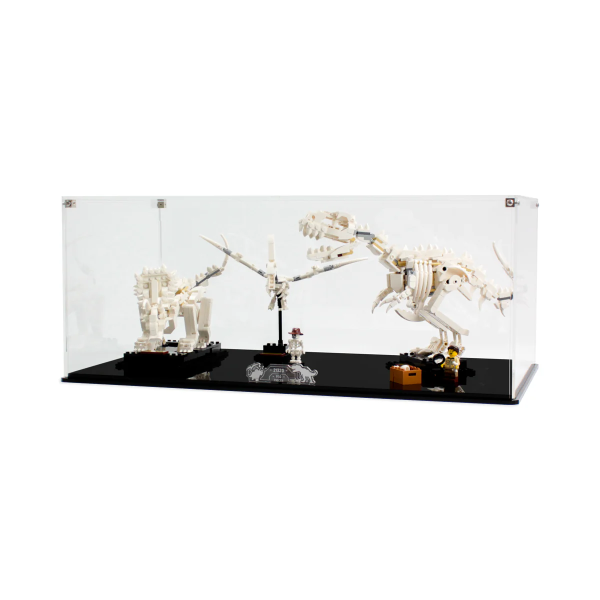 Display Case for LEGO® Ideas: Dinosaur Fossils (21320) - Image 6