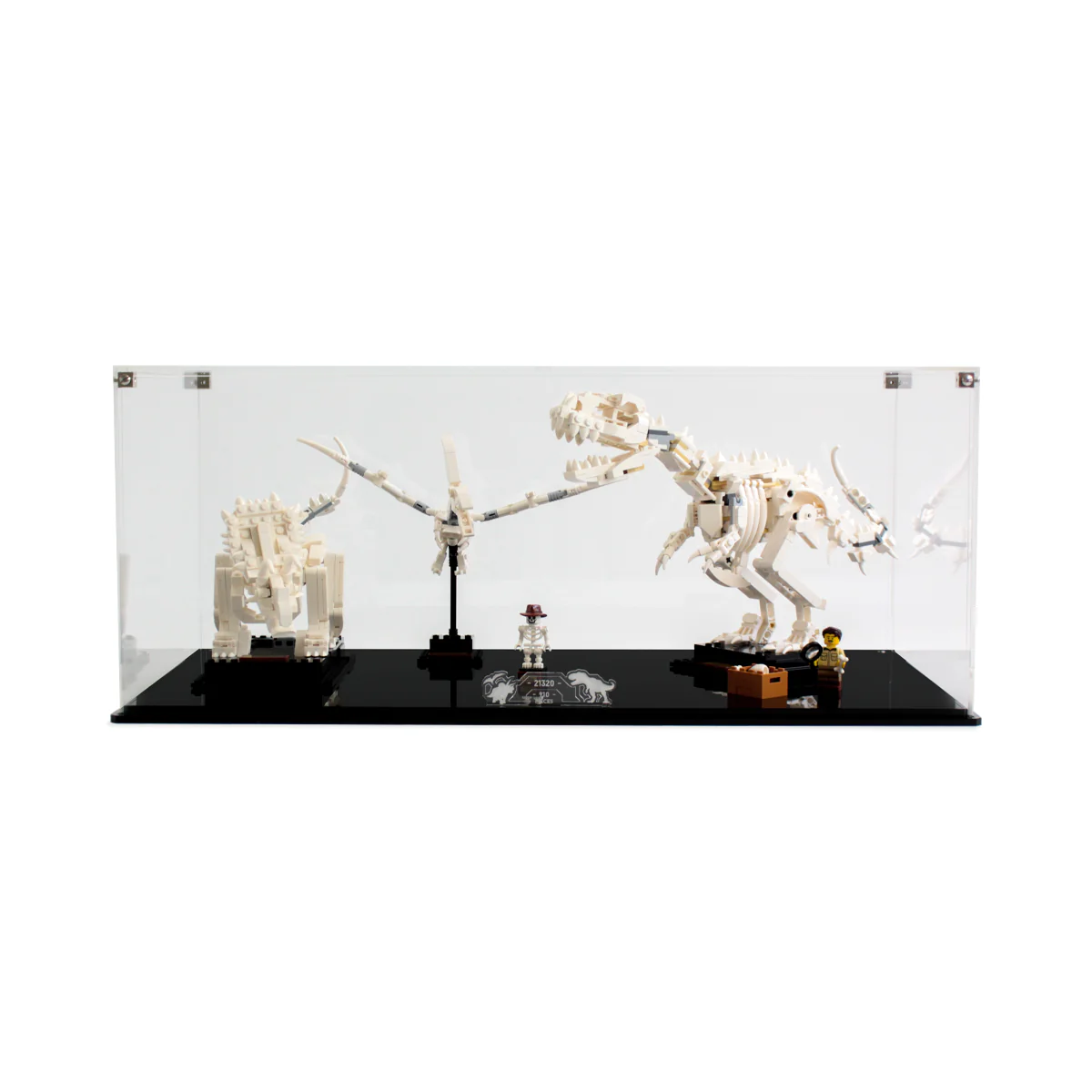 Display Case for LEGO® Ideas: Dinosaur Fossils (21320) - Image 7