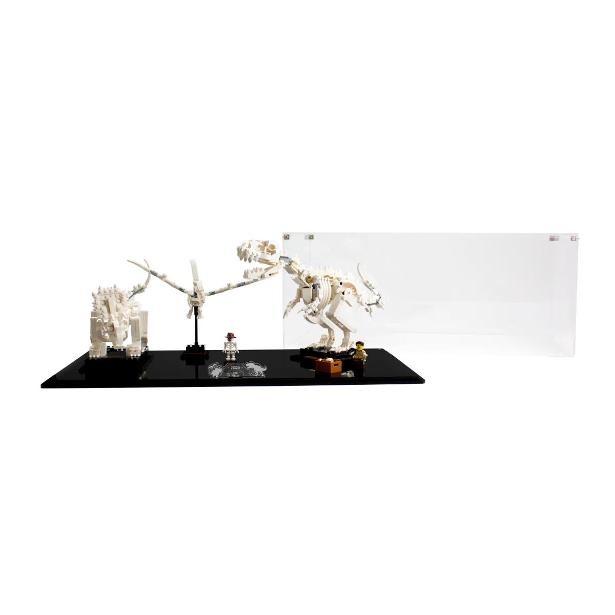 Display Case for LEGO® Ideas: Dinosaur Fossils (21320) - Image 8