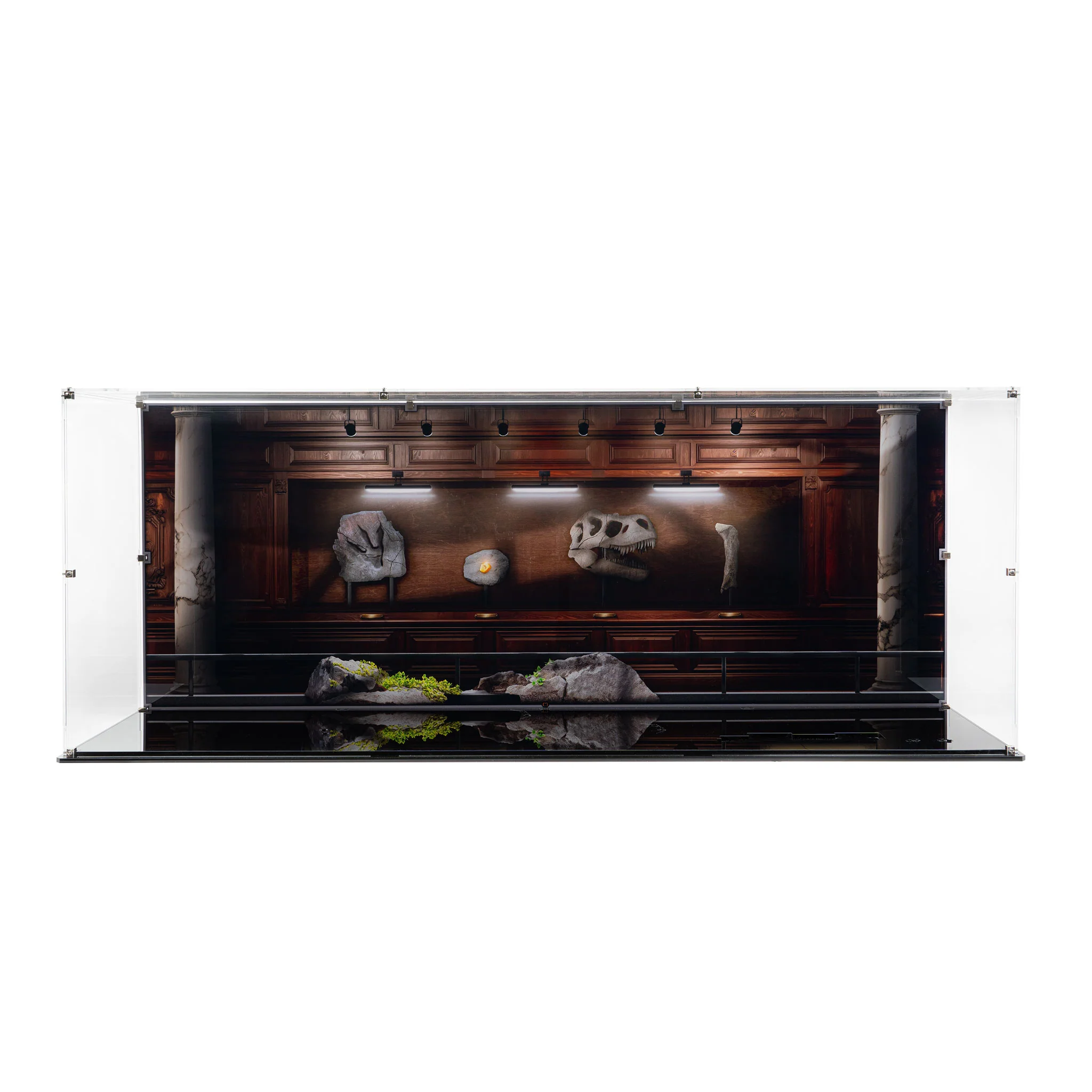Display Case for LEGO® Jurassic Park: Dinosaur Fossils - Tyrannosaurus Rex (76968) - Image 2