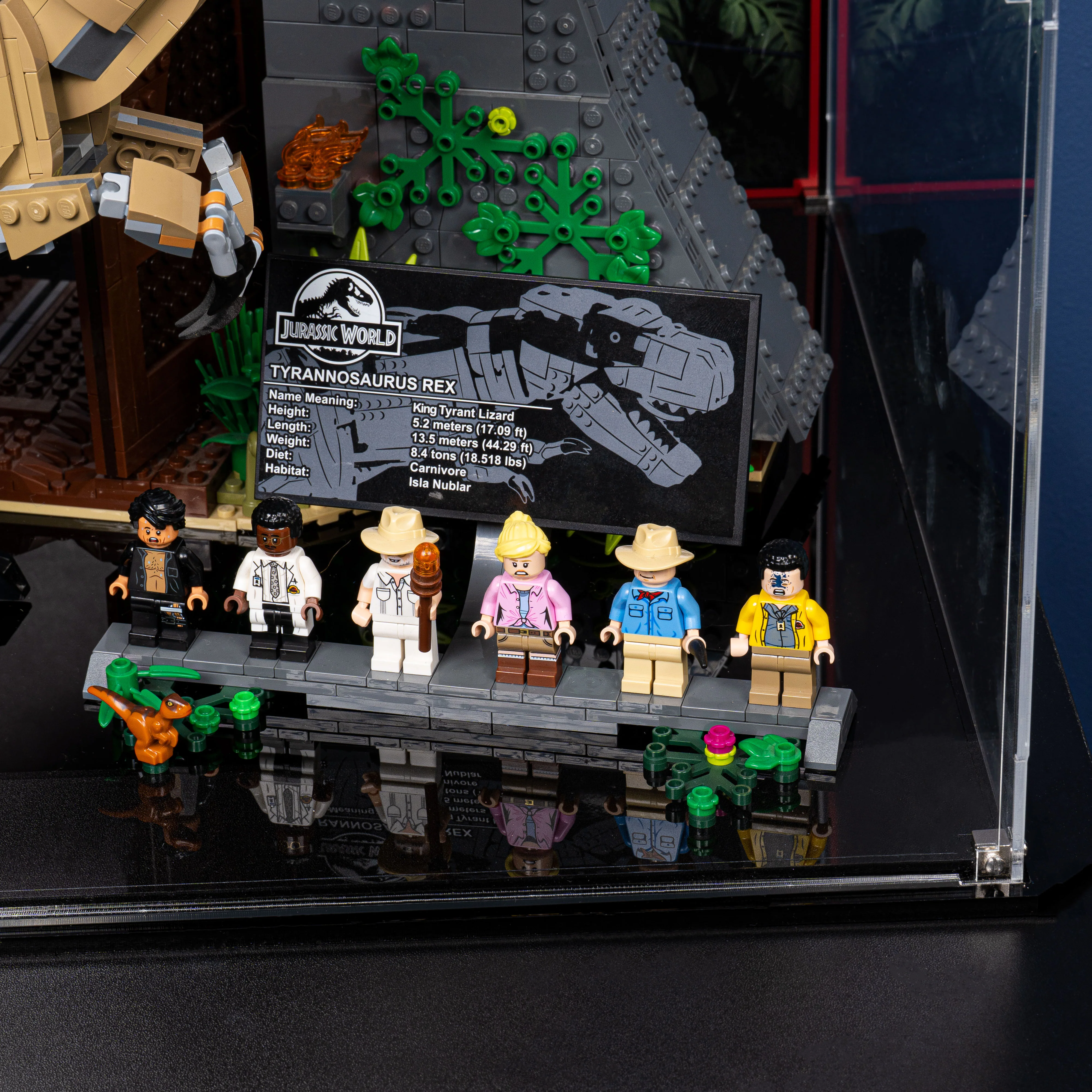 Display Case for LEGO® Jurassic Park: T. rex Rampage (75936) - Image 14