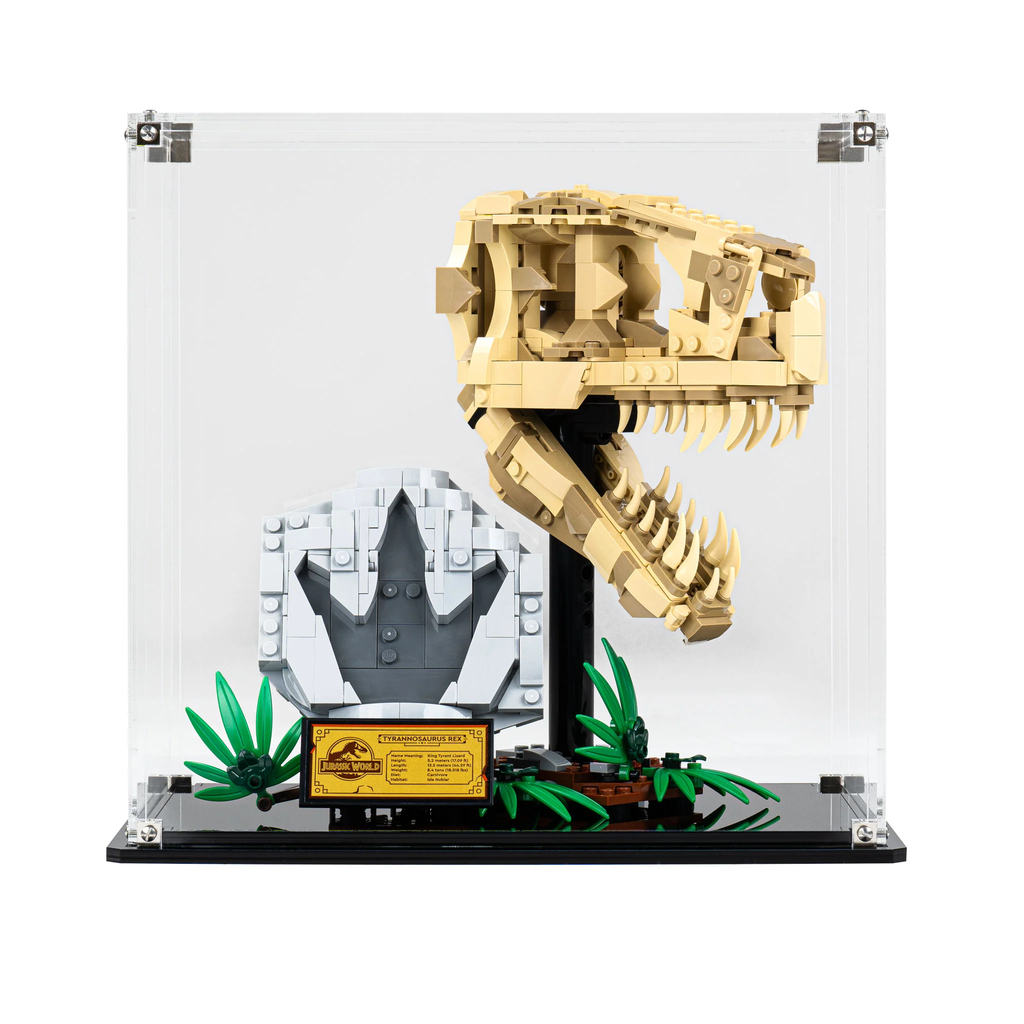Display Case for LEGO® Jurassic World: Dinosaur Fossils: T. rex Skull (76964) - Image 10