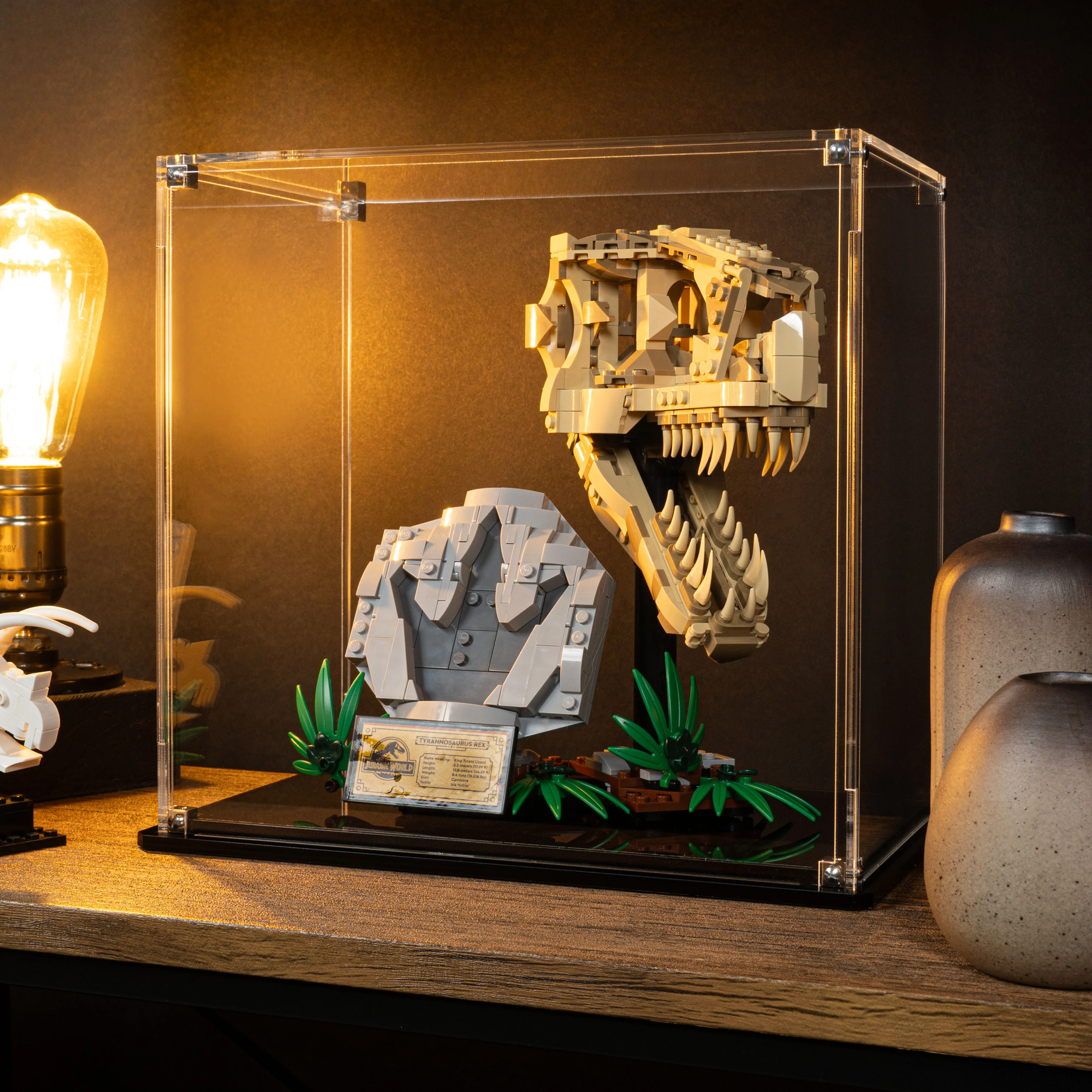Display Case for LEGO® Jurassic World: Dinosaur Fossils: T. rex Skull (76964) - Image 12