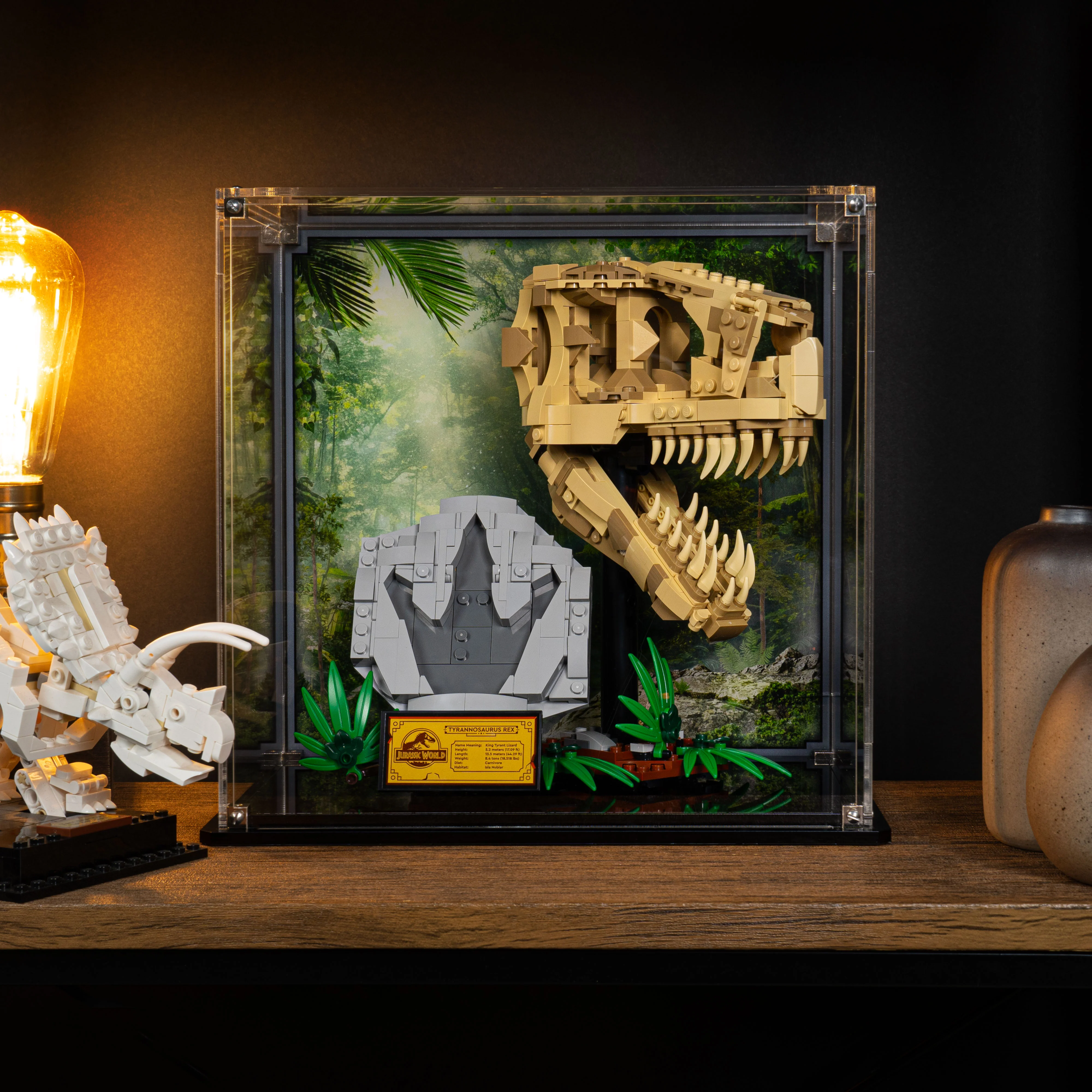 Display Case for LEGO® Jurassic World: Dinosaur Fossils: T. rex Skull (76964) - Image 13
