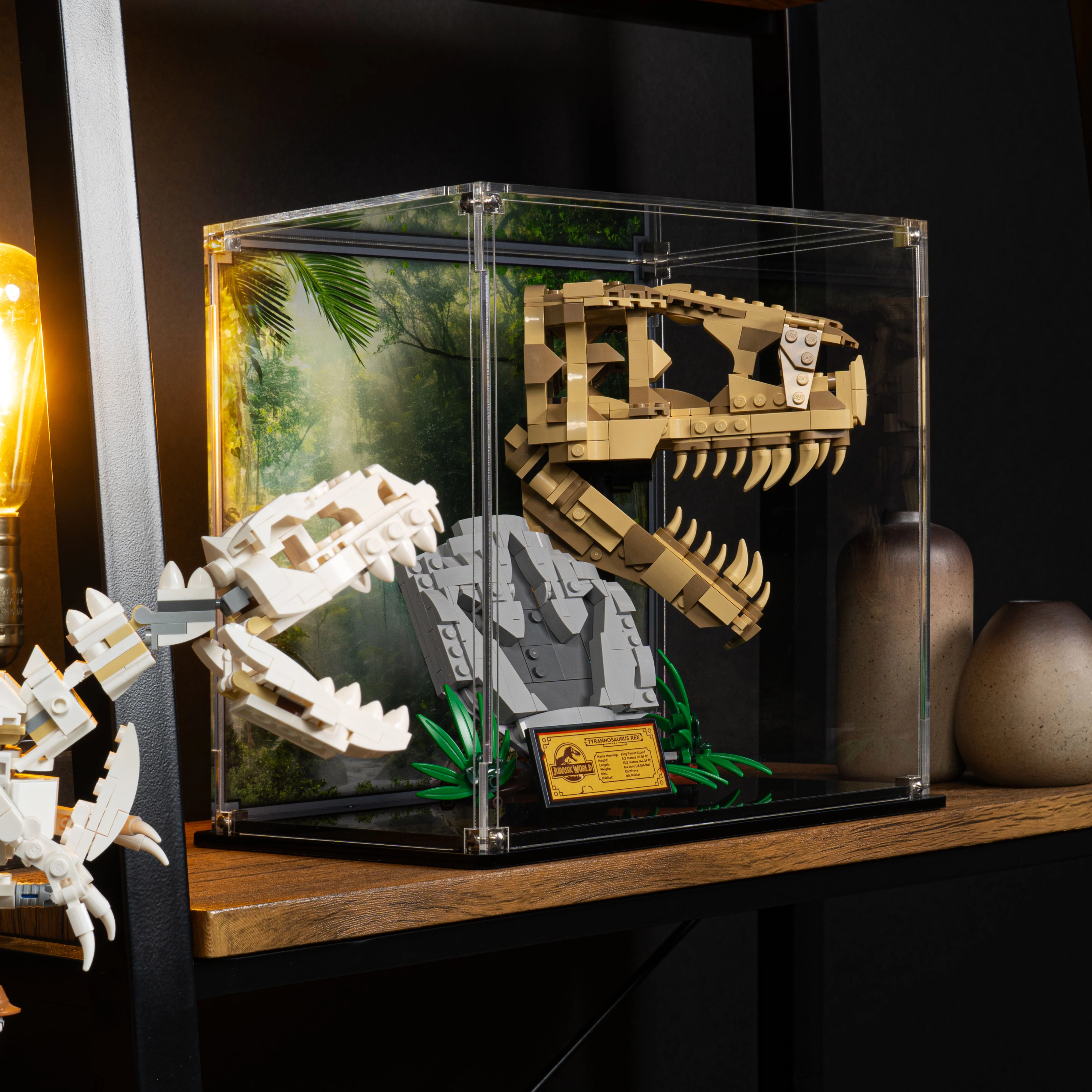 Display Case for LEGO® Jurassic World: Dinosaur Fossils: T. rex Skull (76964) - Image 15
