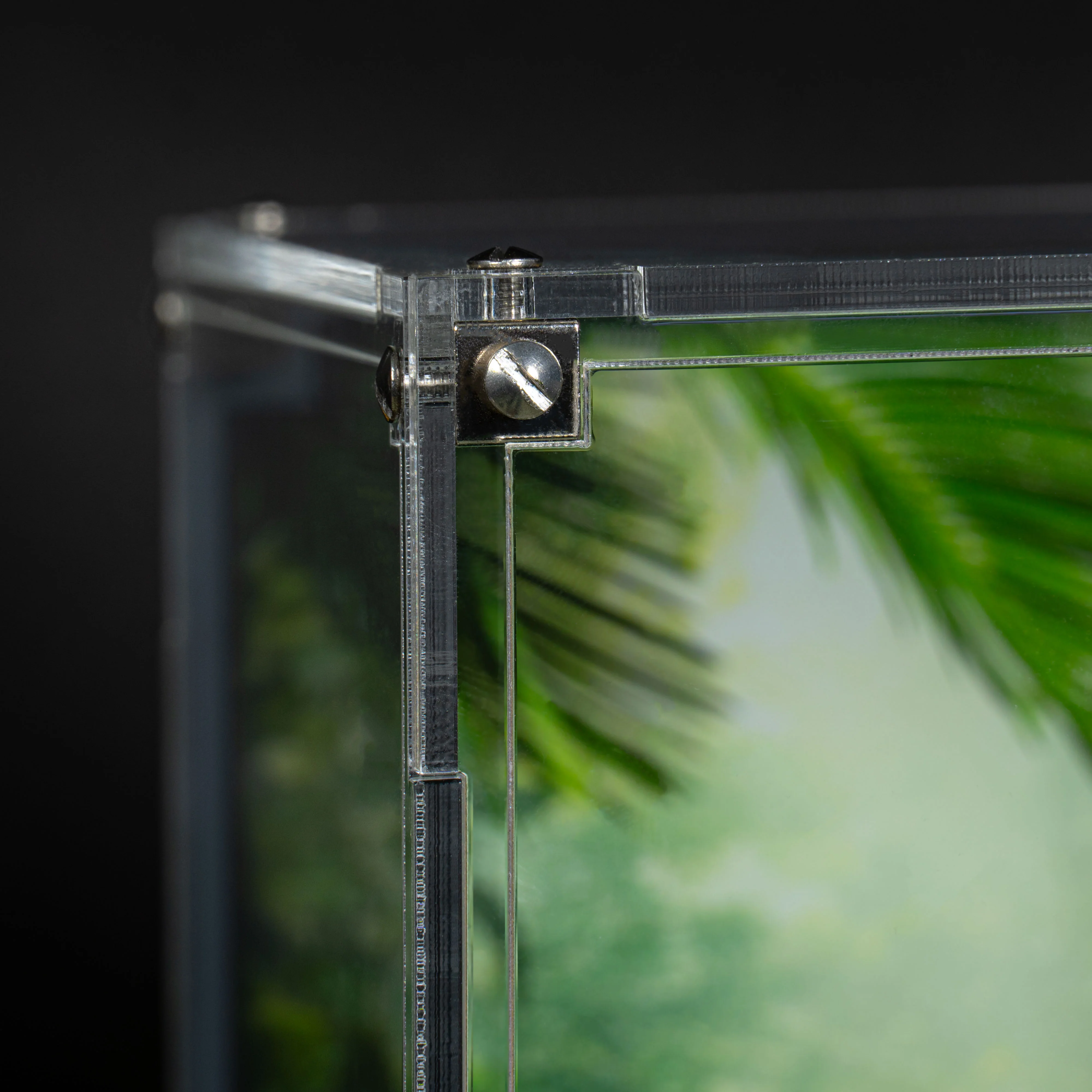 Display Case for LEGO® Jurassic World: Dinosaur Fossils: T. rex Skull (76964) - Image 16