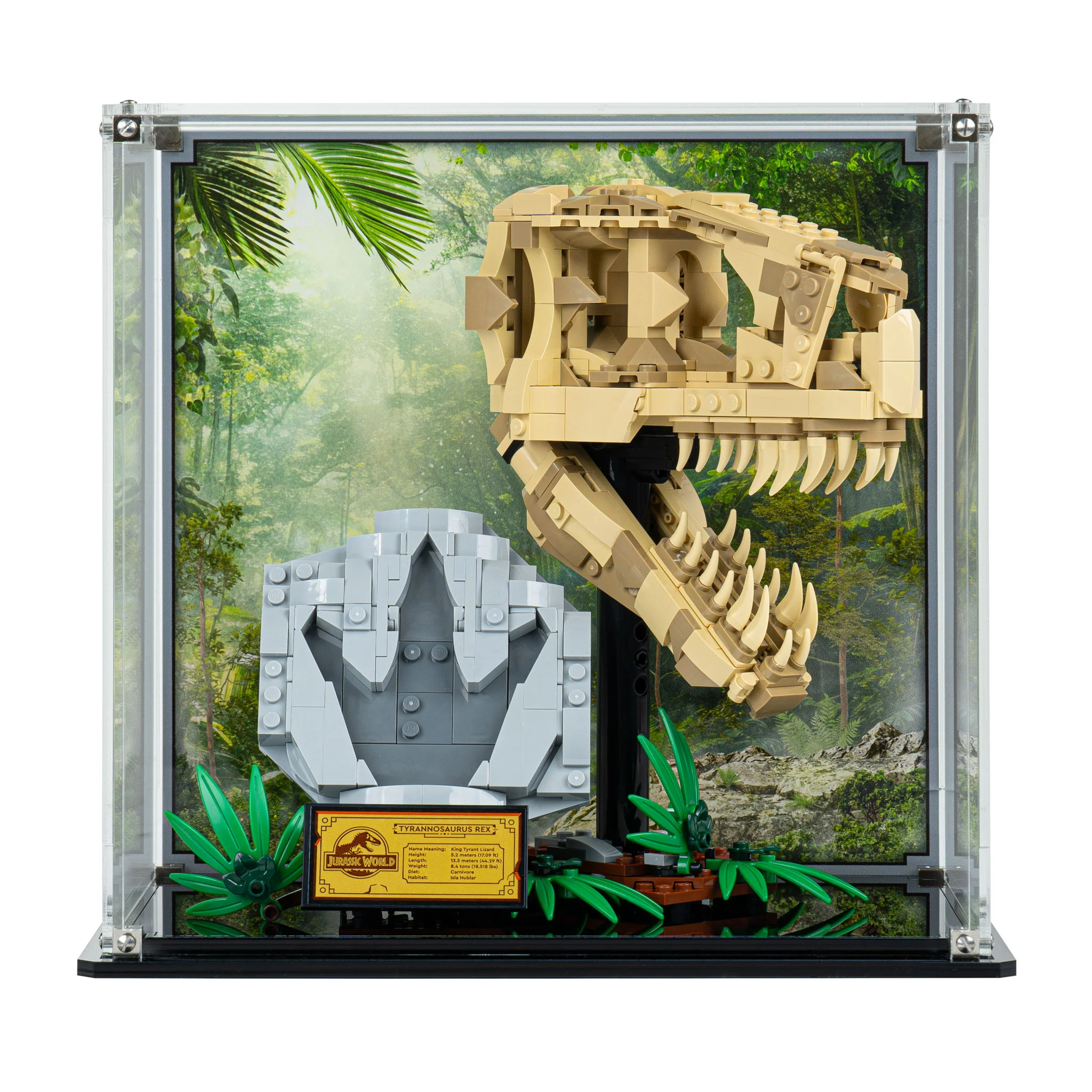 Display Case for LEGO® Jurassic World: Dinosaur Fossils: T. rex Skull (76964) - Image 2