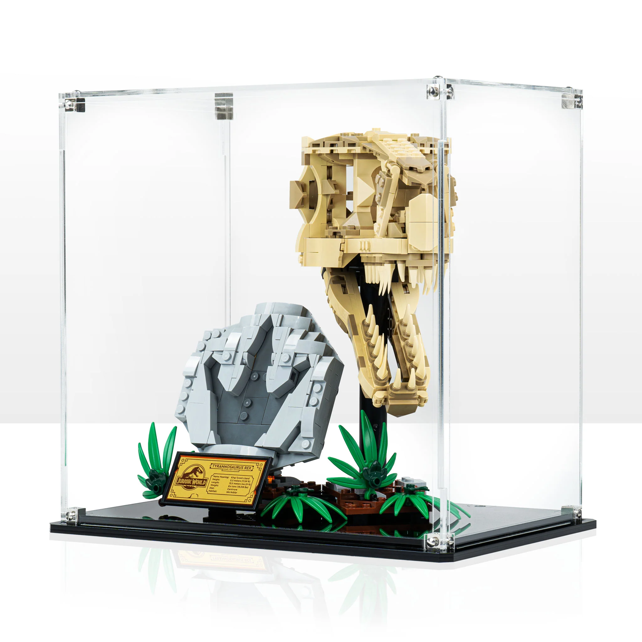 Display Case for LEGO® Jurassic World: Dinosaur Fossils: T. rex Skull (76964) - Image 9