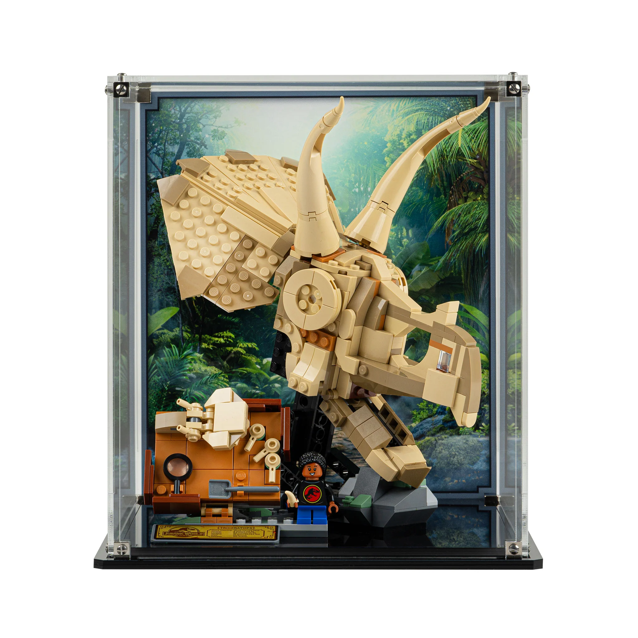 Display Case for LEGO® Jurassic World: Dinosaur Fossils Triceratops Skull (76969) - Image 3