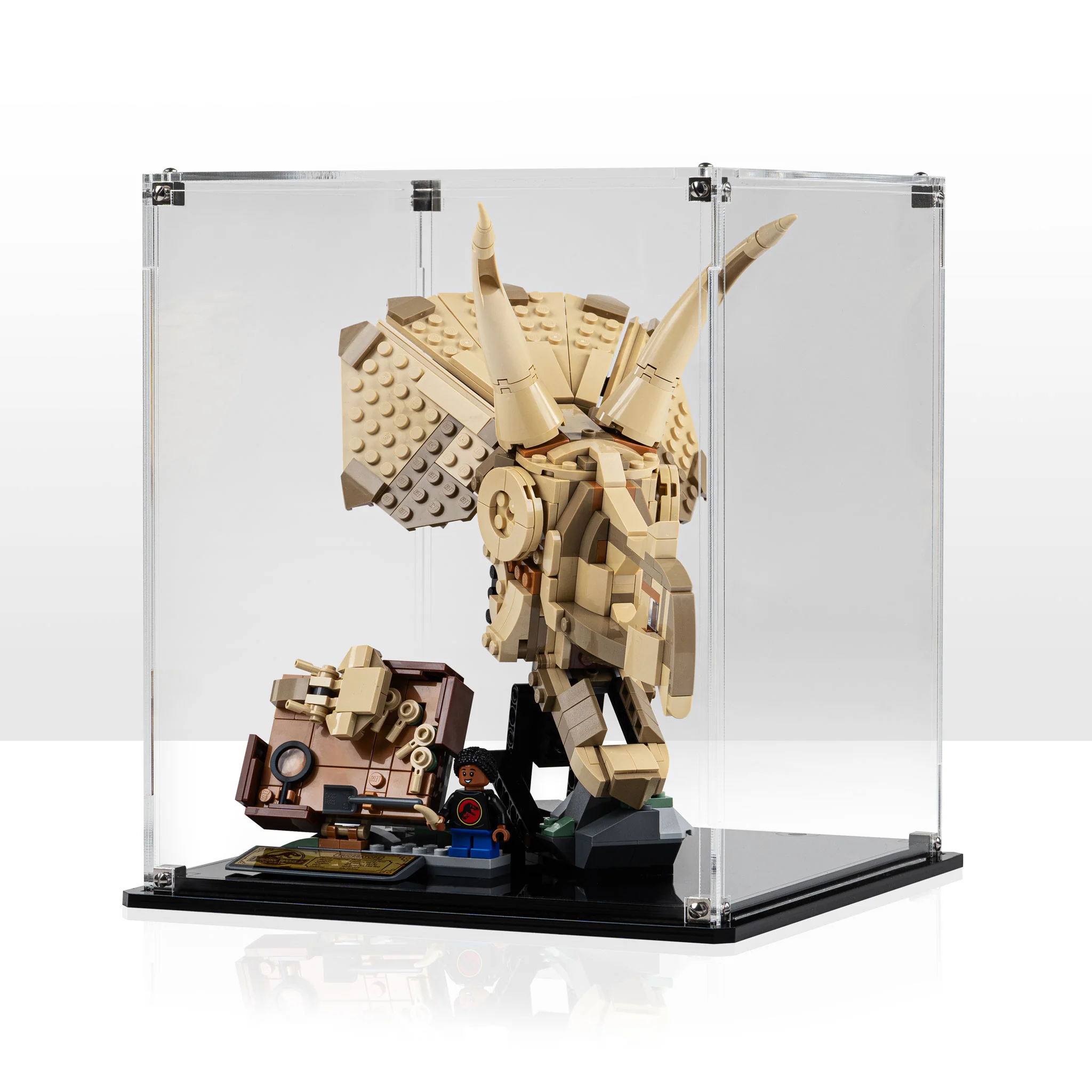 Display Case for LEGO® Jurassic World: Dinosaur Fossils Triceratops Skull (76969) - Image 4