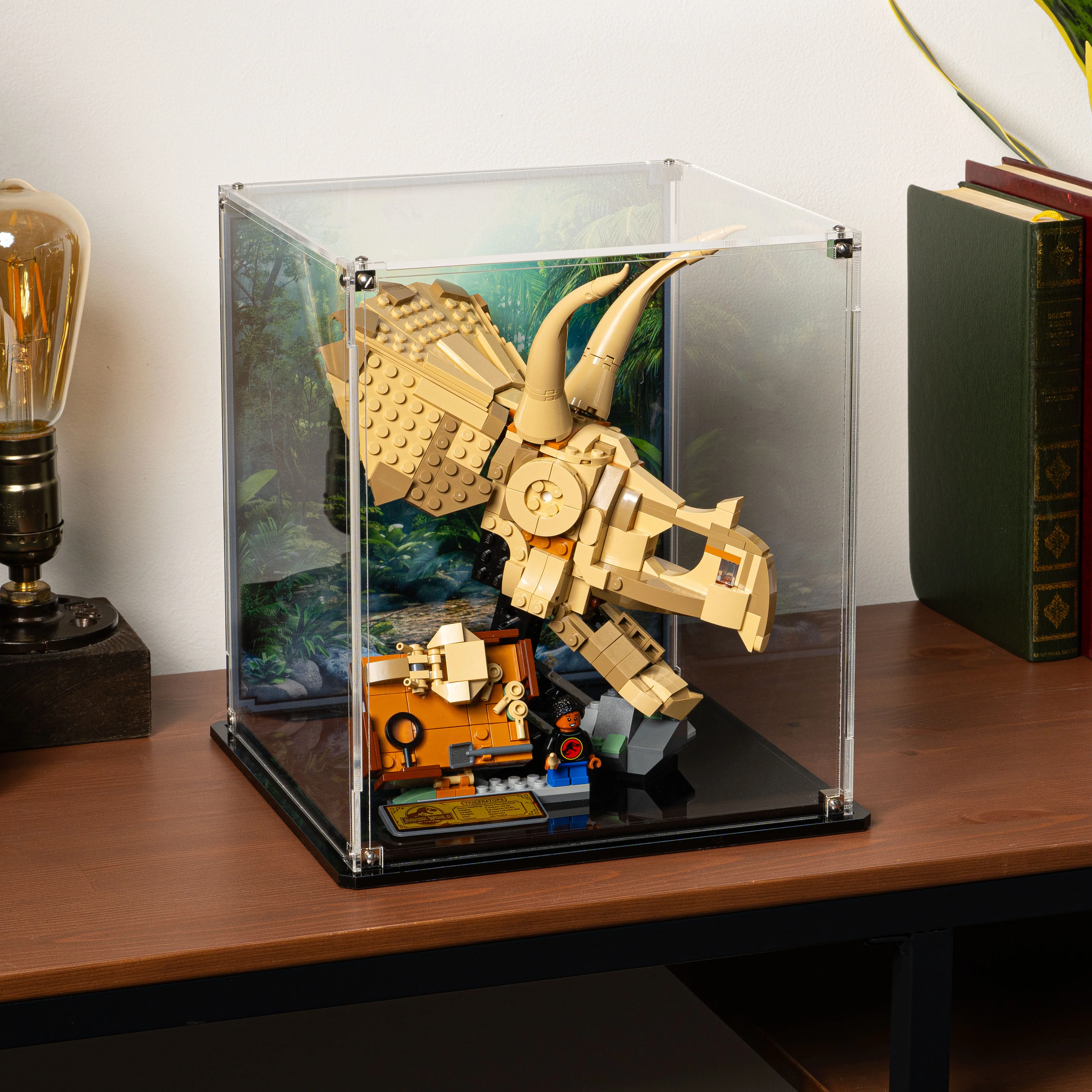 Display Case for LEGO® Jurassic World: Dinosaur Fossils Triceratops Skull (76969) - Image 7