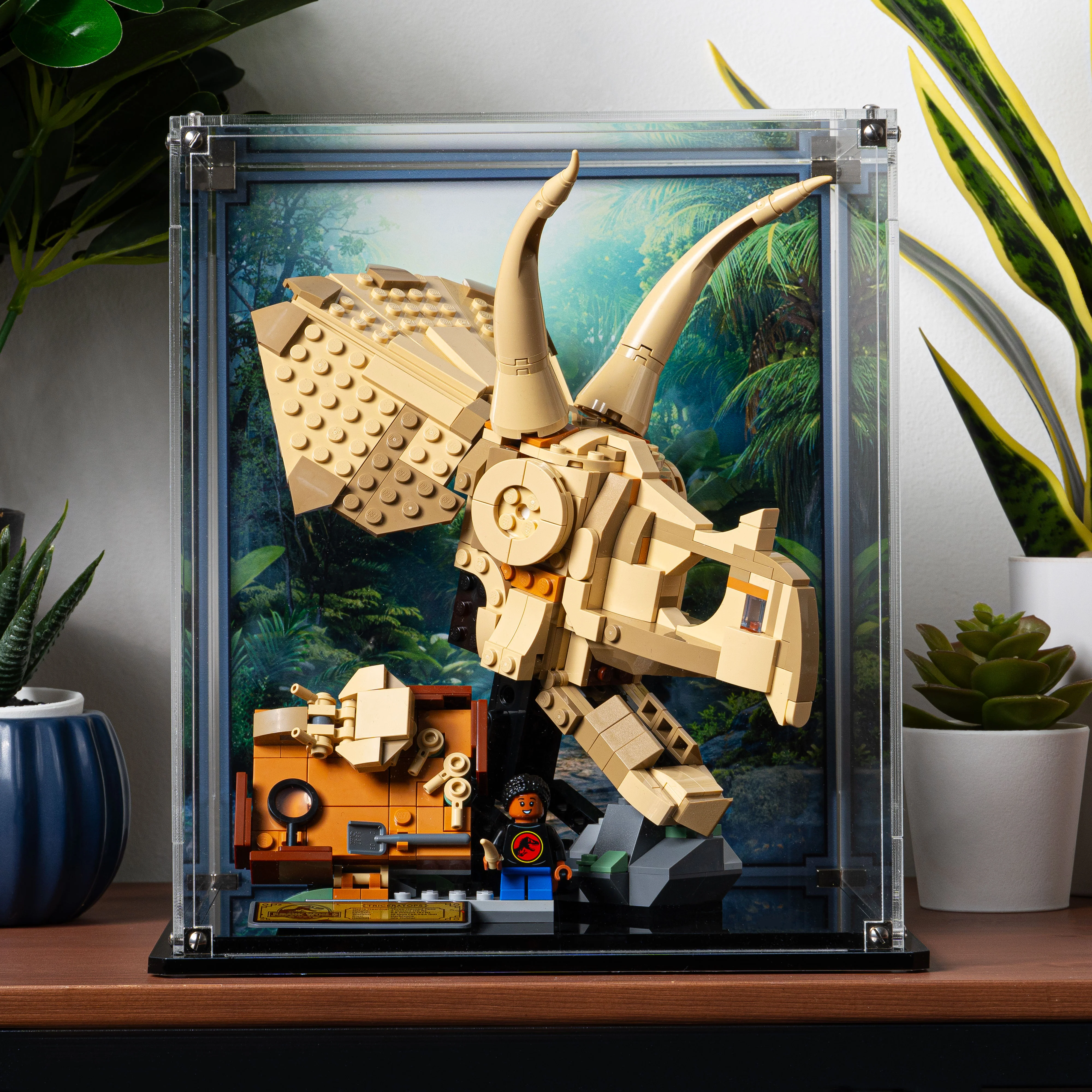 Display Case for LEGO® Jurassic World: Dinosaur Fossils Triceratops Skull (76969) - Image 8