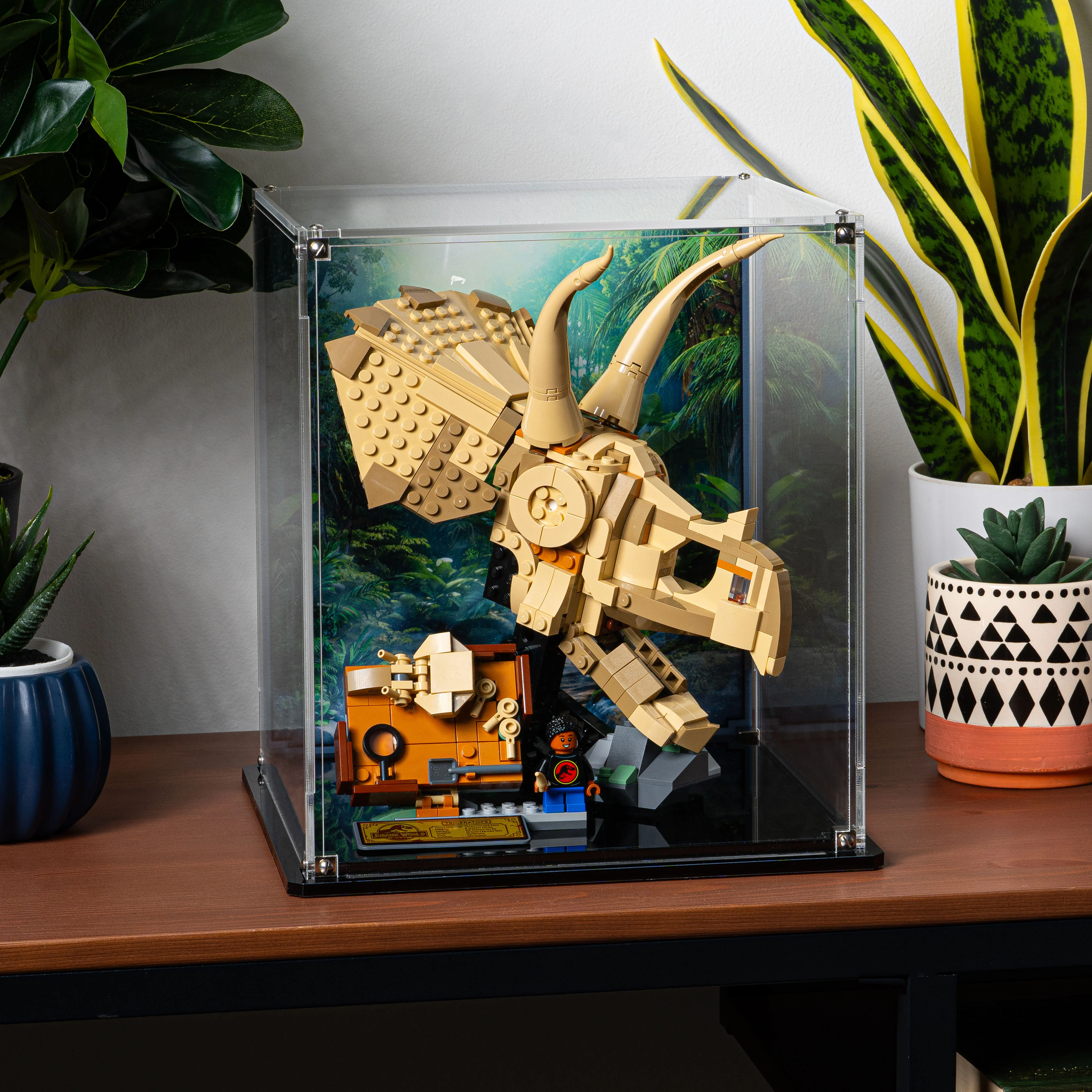 Display Case for LEGO® Jurassic World: Dinosaur Fossils Triceratops Skull (76969) - Image 9