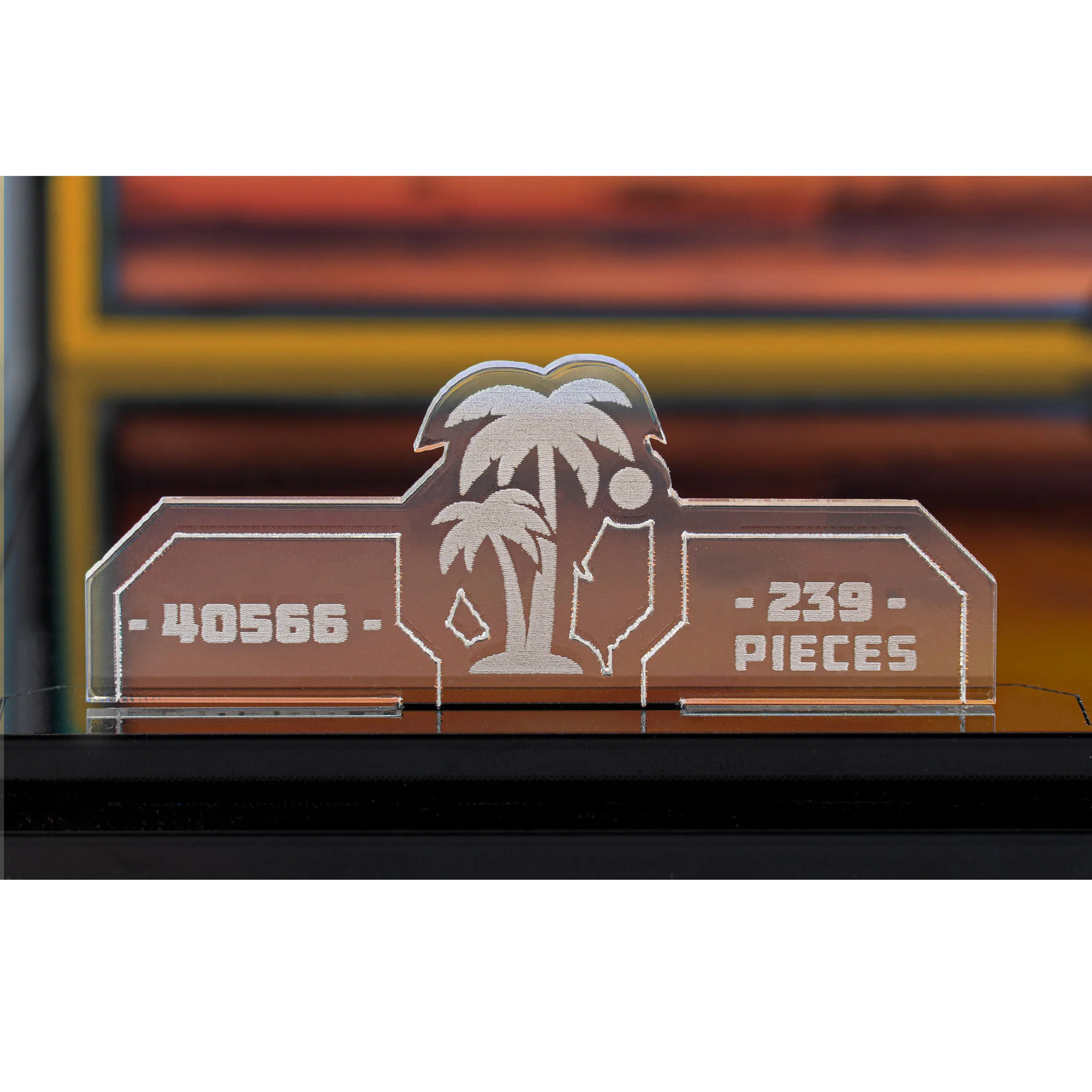 Display Case for LEGO® Ray the Castaway (40566) - Image 9