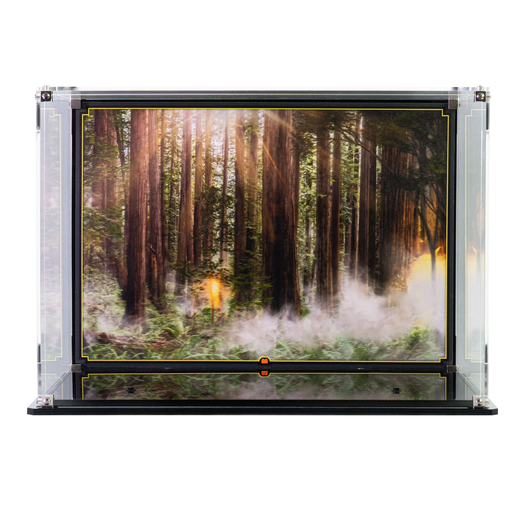 Display Case for LEGO® Star Wars: Endor™ Speeder Chase Diorama (75353) - Image 3