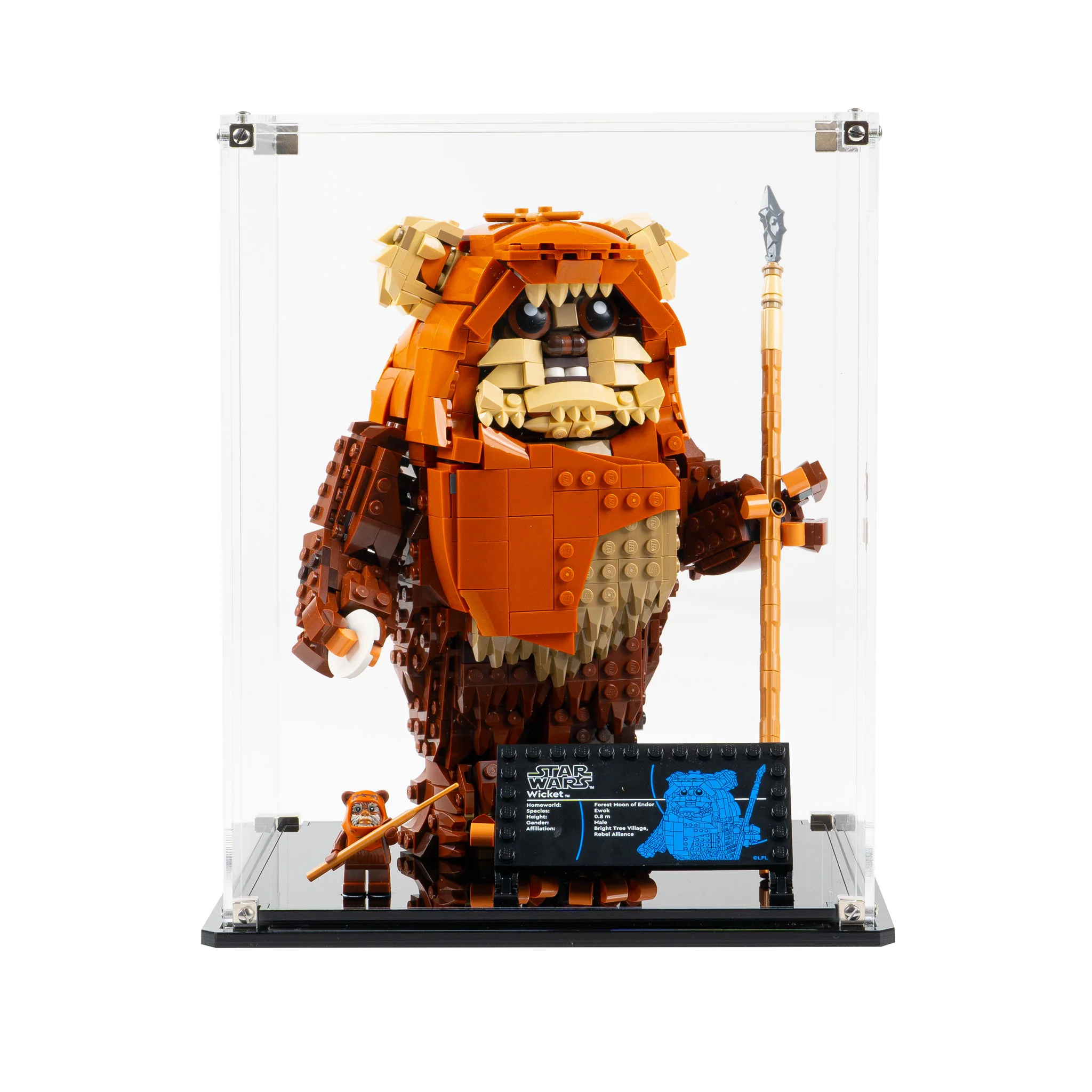 Display Case for LEGO® Star Wars: Wicket the Ewok (75430) - Image 10