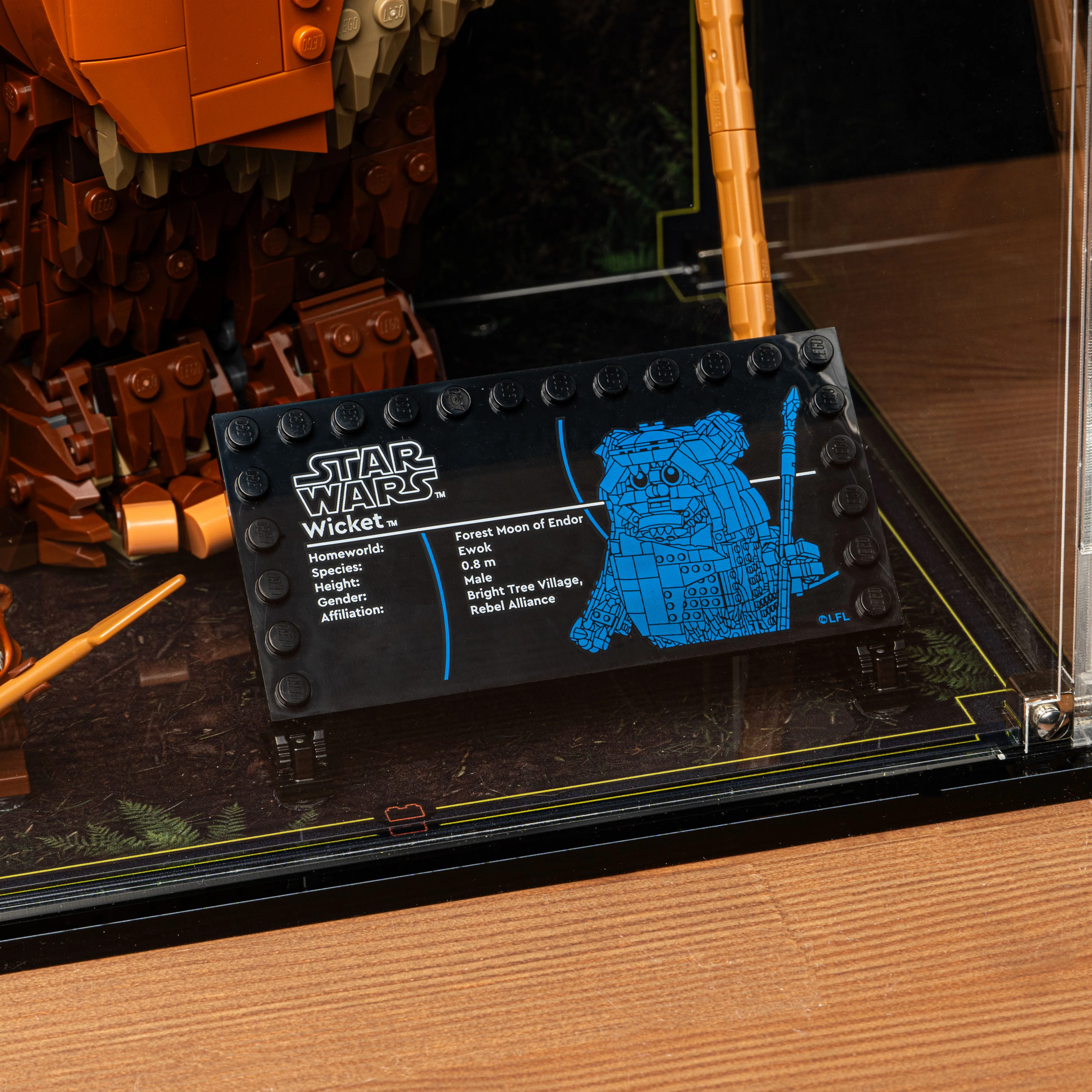 Display Case for LEGO® Star Wars: Wicket the Ewok (75430) - Image 12