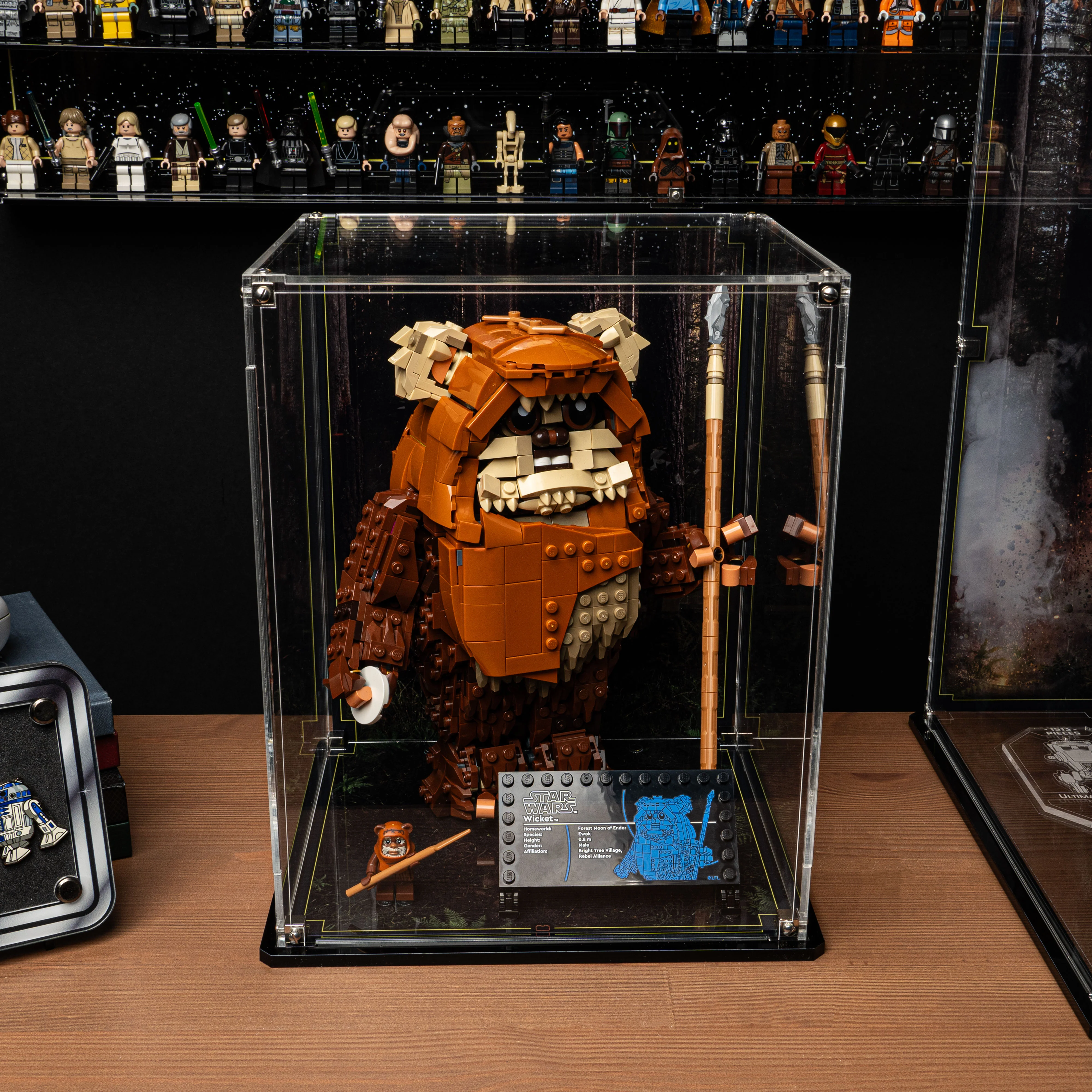 Display Case for LEGO® Star Wars: Wicket the Ewok (75430) - Image 14