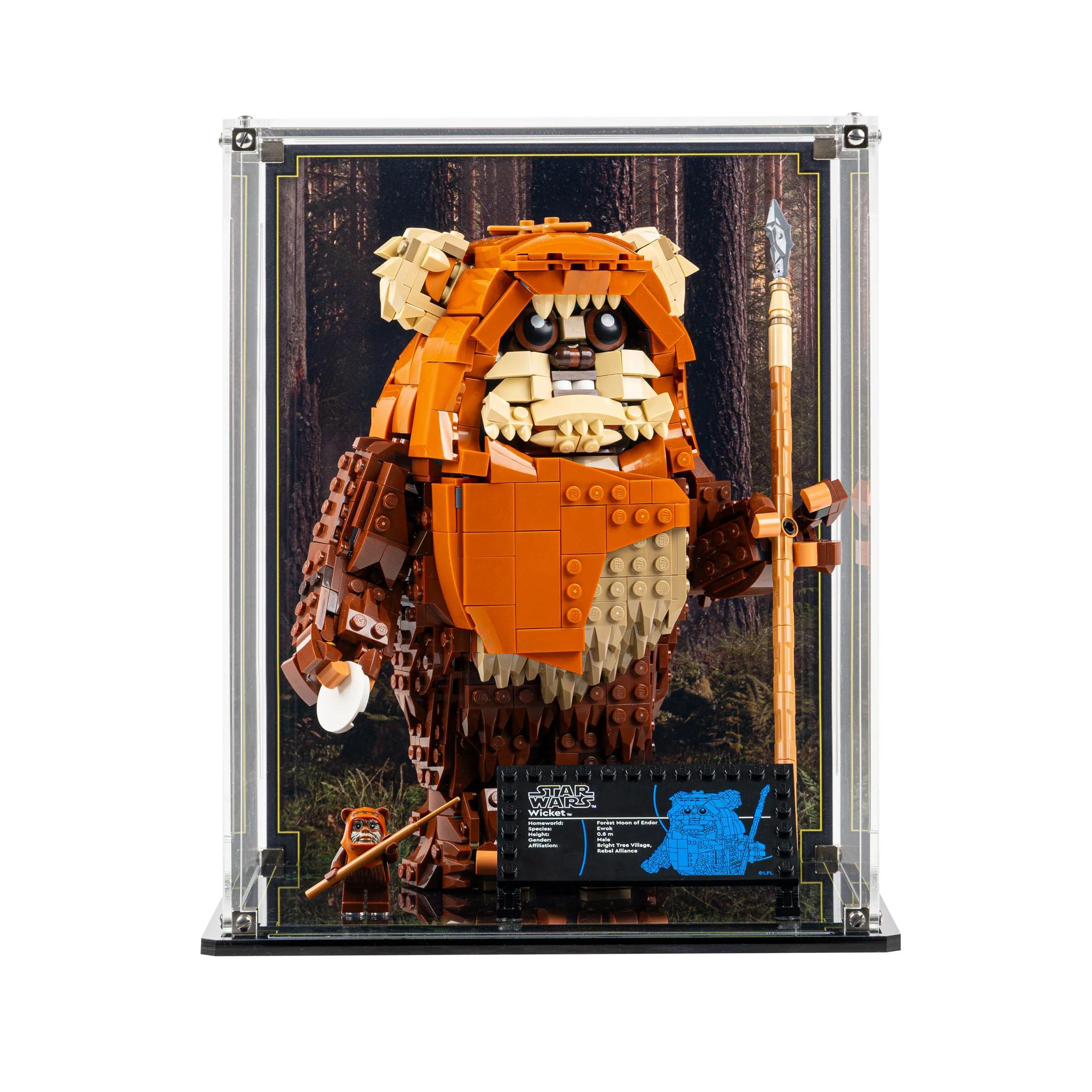 Display Case for LEGO® Star Wars: Wicket the Ewok (75430) - Image 3