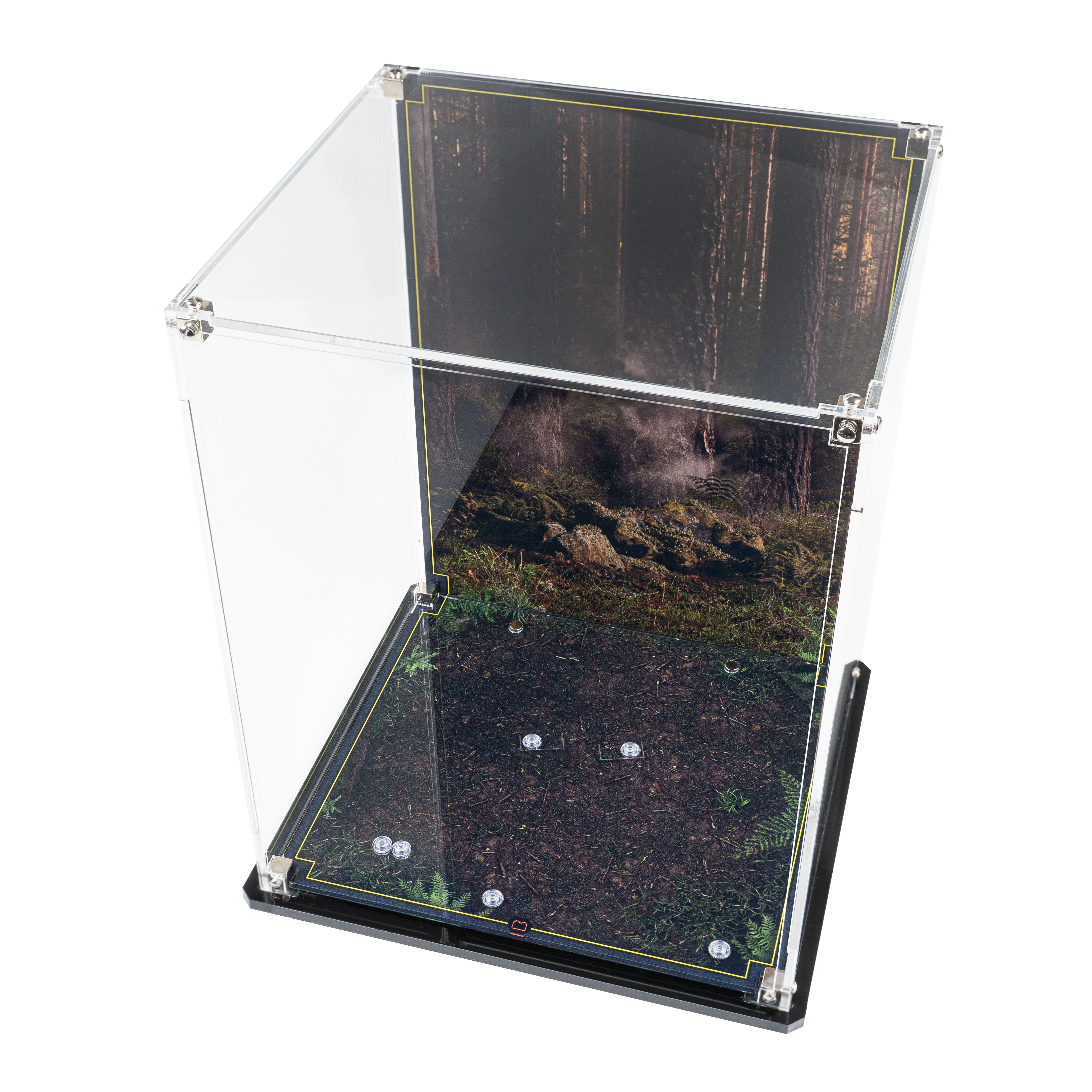 Display Case for LEGO® Star Wars: Wicket the Ewok (75430) - Image 4