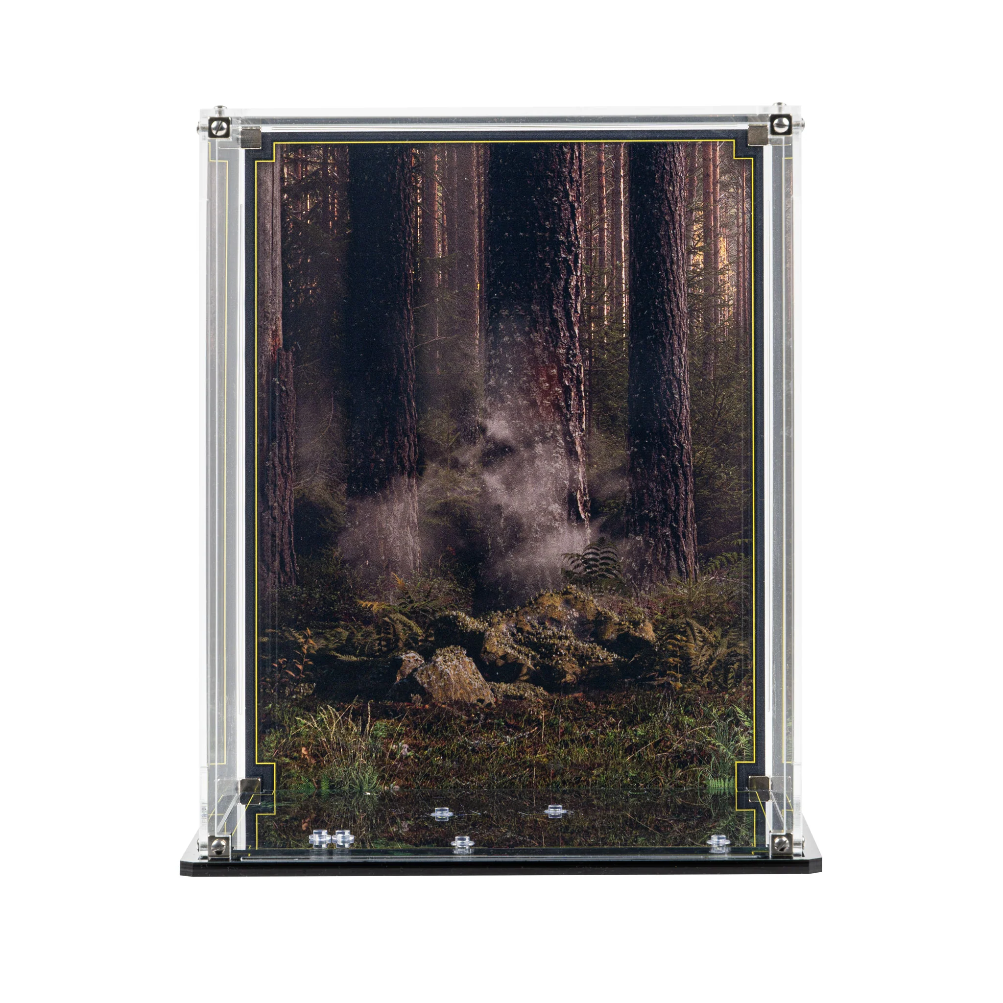 Display Case for LEGO® Star Wars: Wicket the Ewok (75430) - Image 5