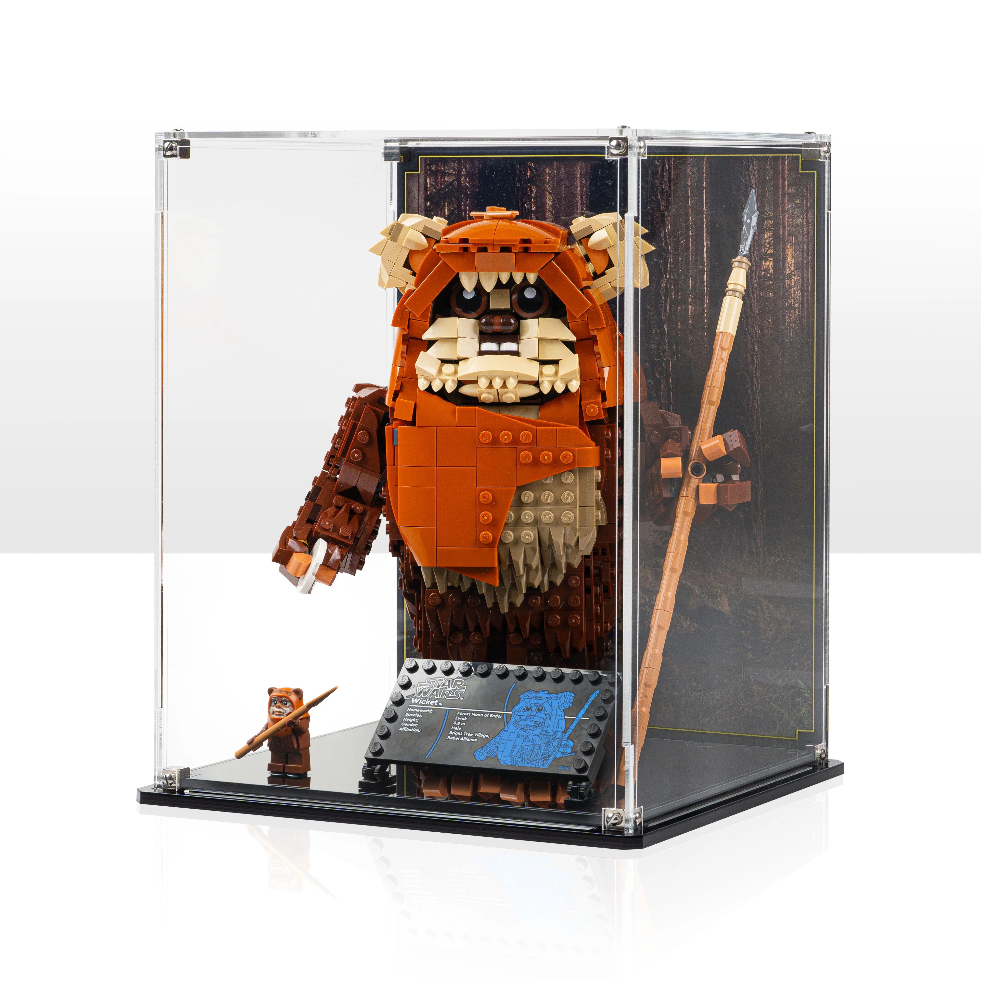 Display Case for LEGO® Star Wars: Wicket the Ewok (75430) - Image 6