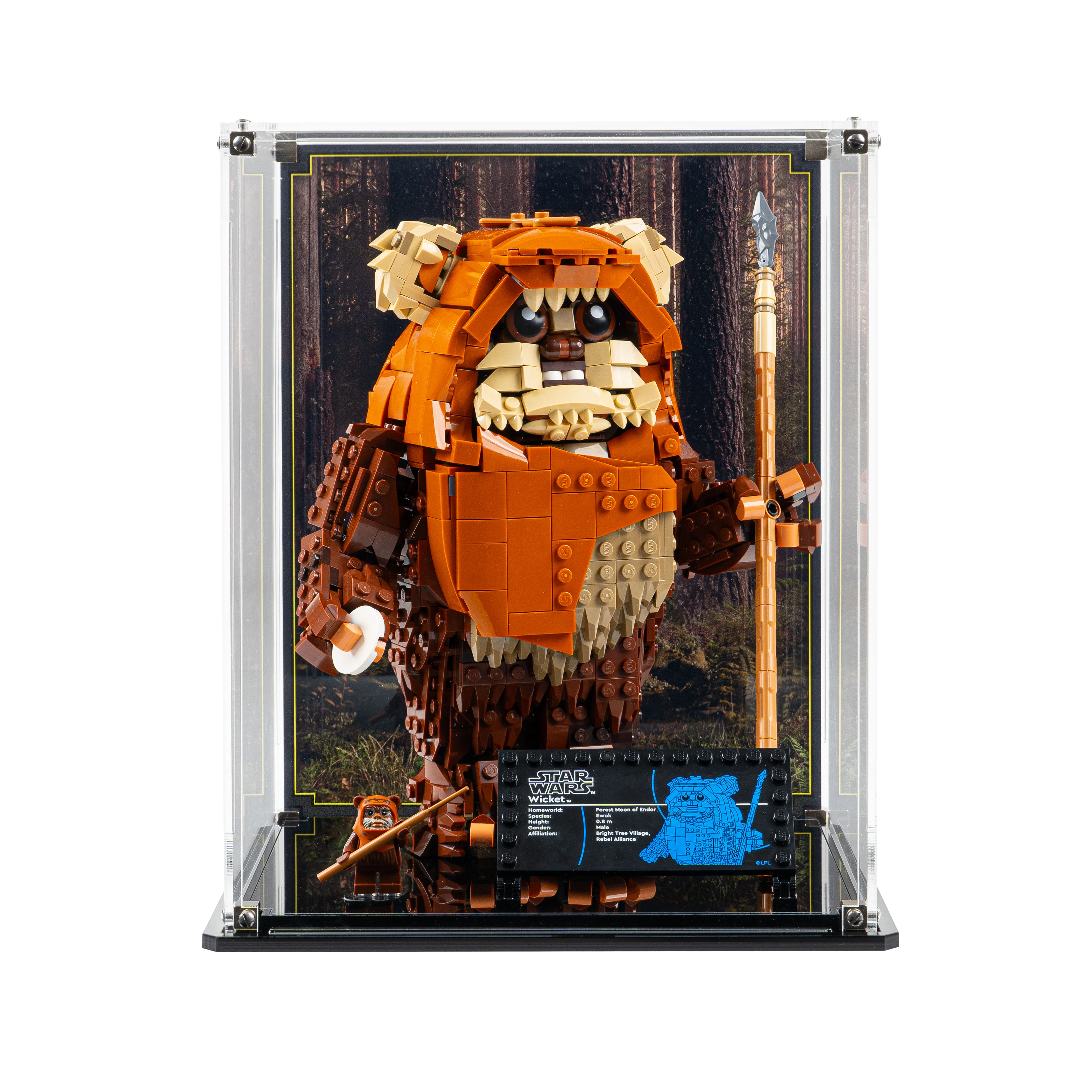 Display Case for LEGO® Star Wars: Wicket the Ewok (75430) - Image 7