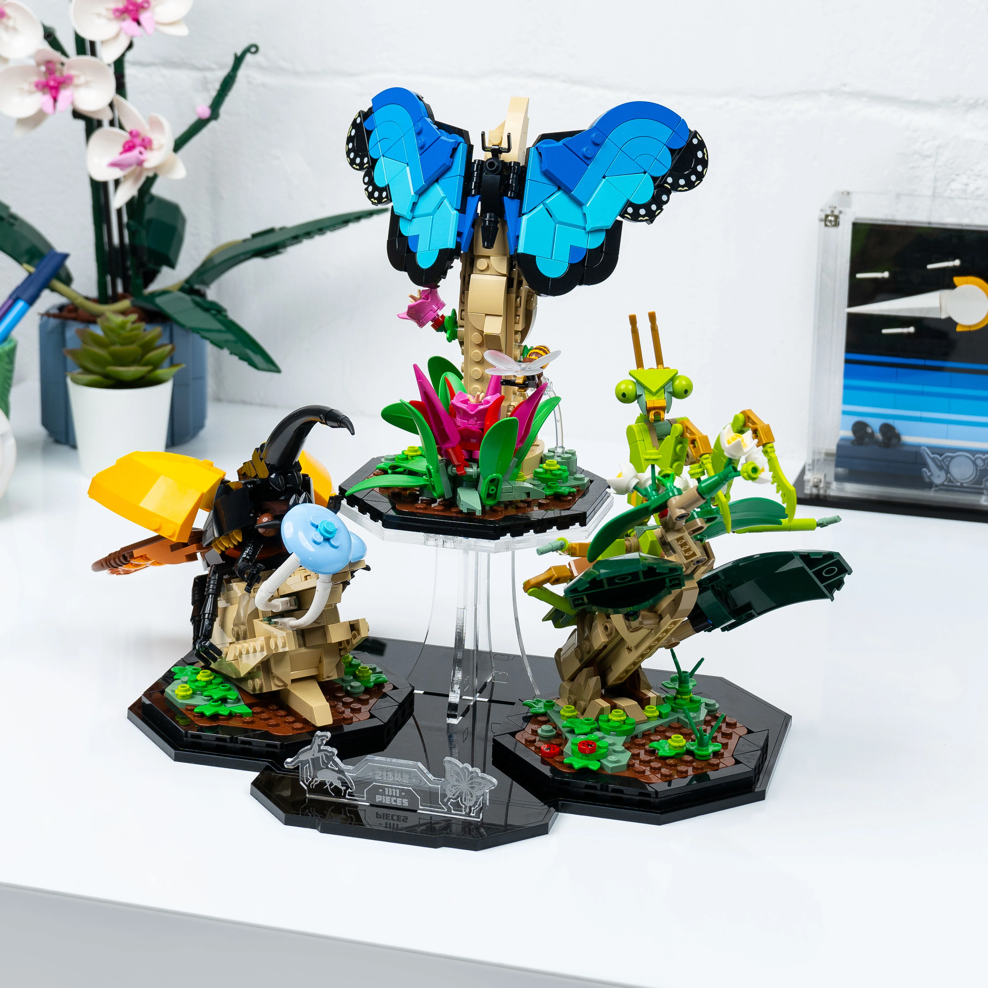 Display Stand for LEGO® Ideas: The Insect Collection (21342) - Image 10