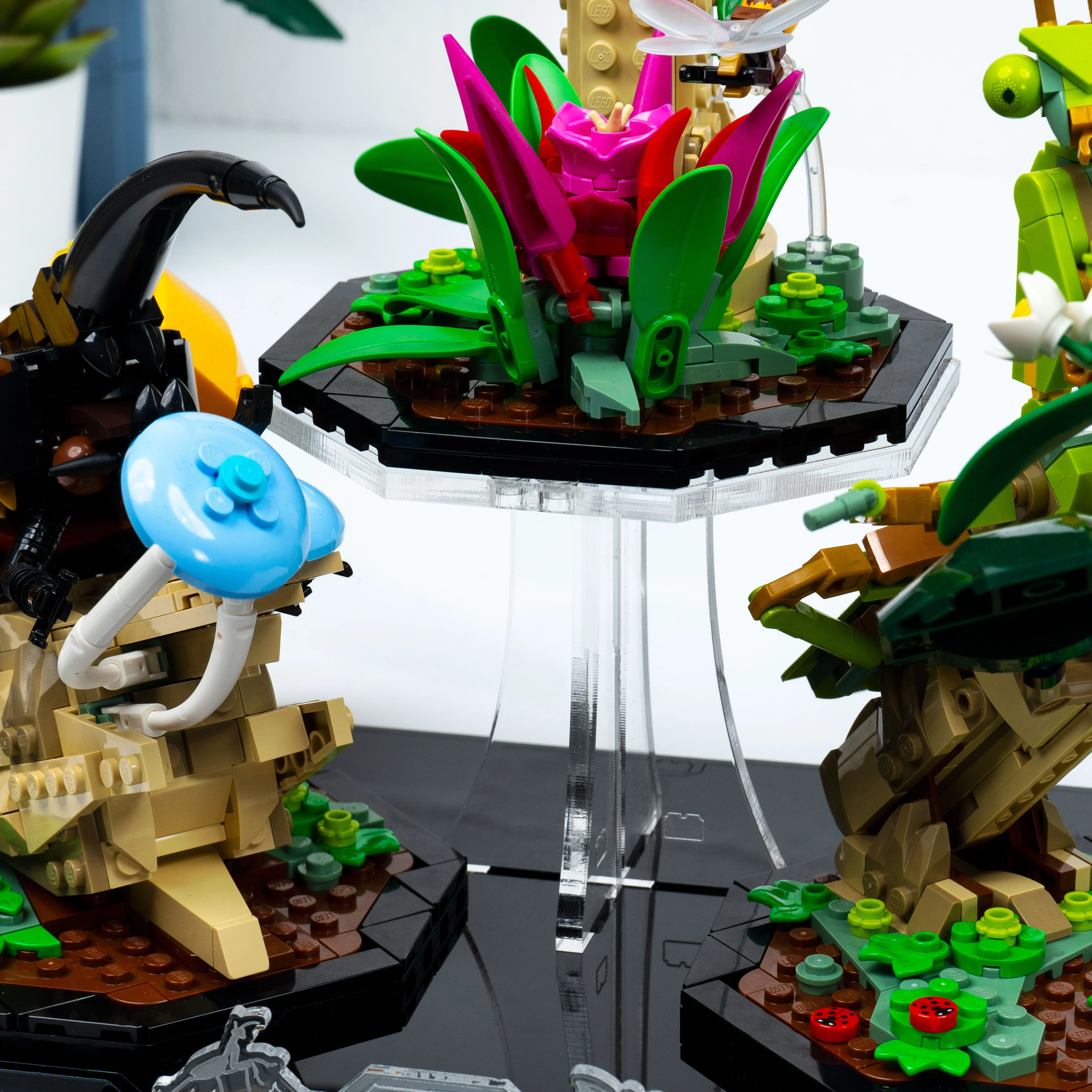 Display Stand for LEGO® Ideas: The Insect Collection (21342) - Image 11