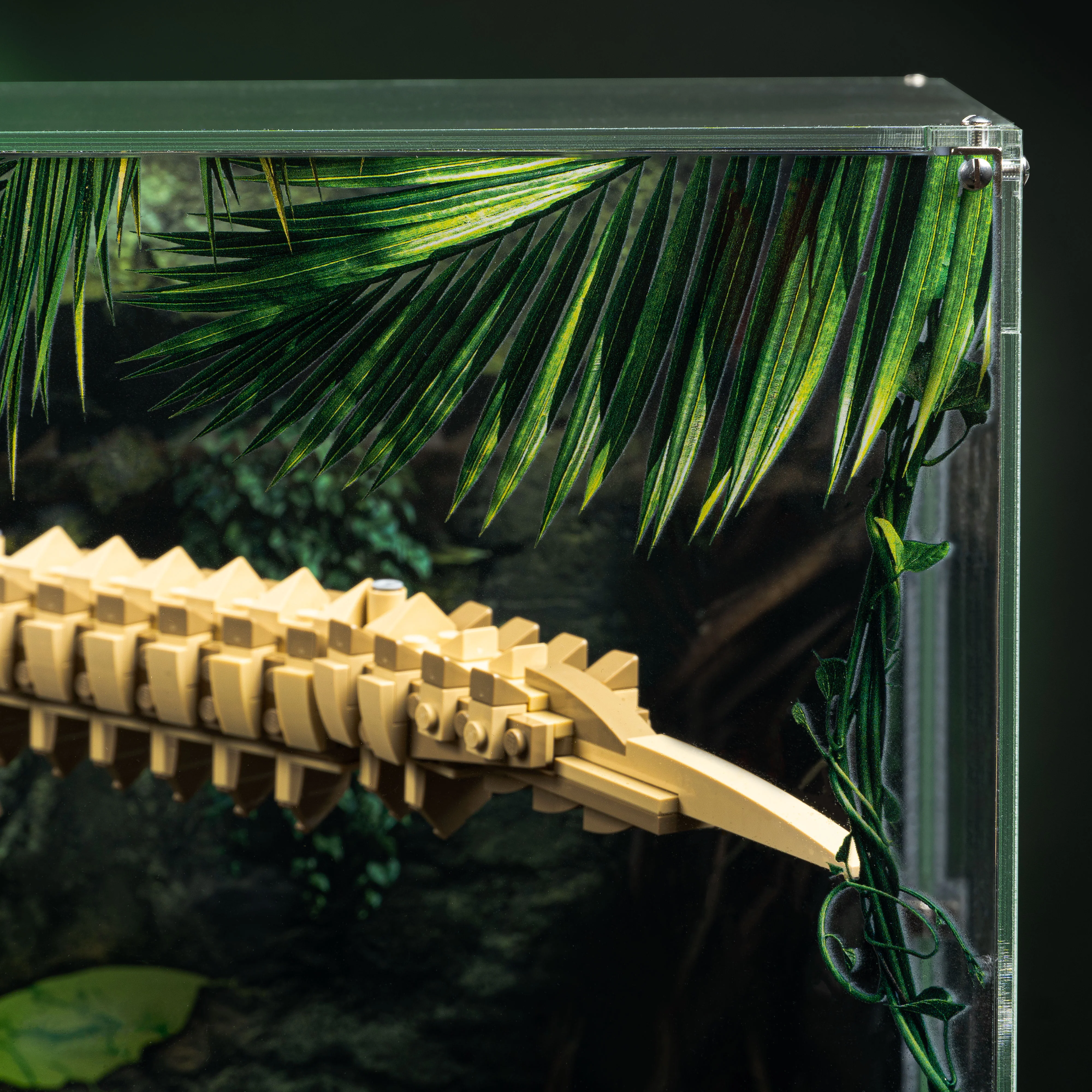 Limited Edition Display Case for LEGO® Dinosaur Fossils: Tyrannosaurus Rex (76968) - Image 8