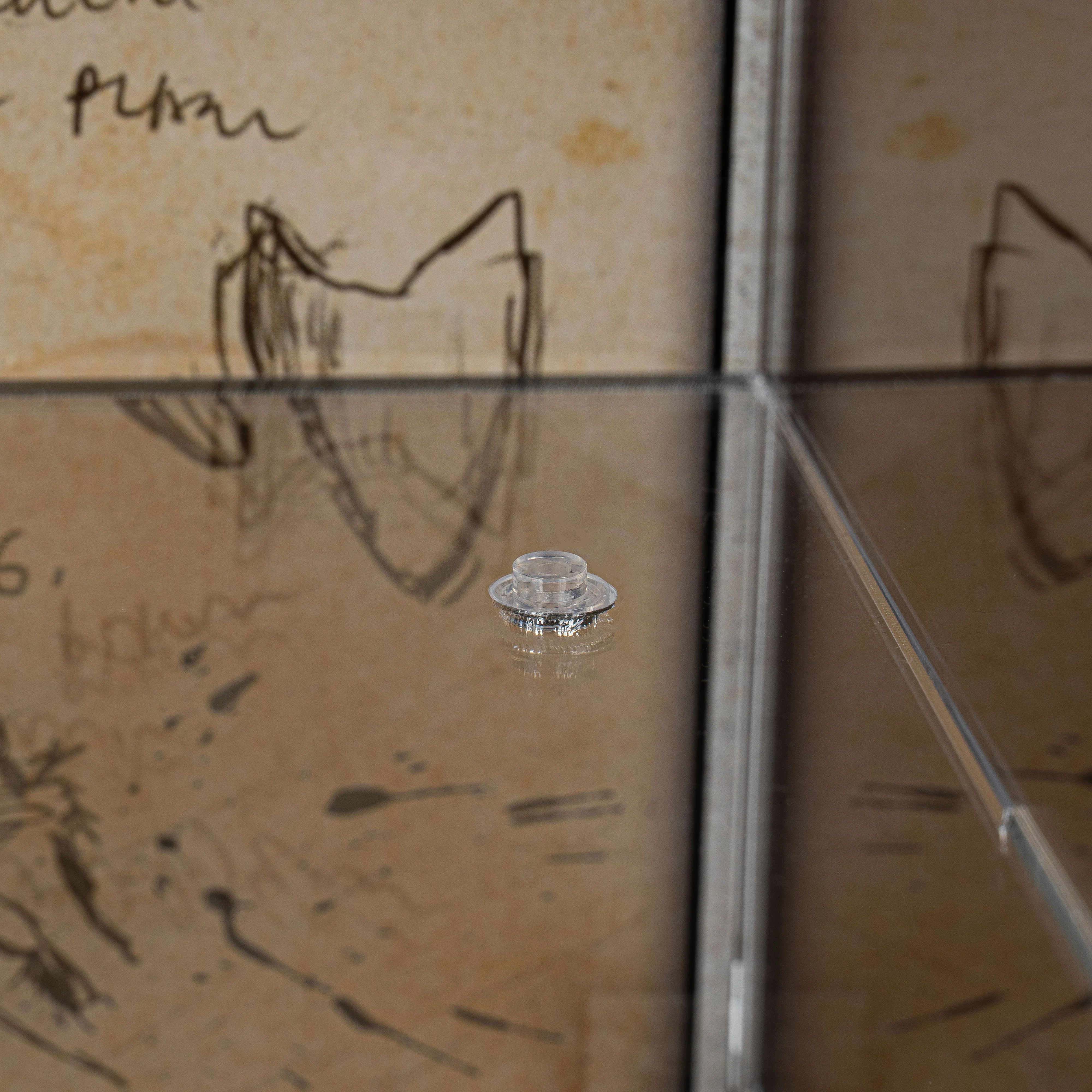 Limited Edition Display Case for LEGO® Icons: Natural History Museum (10326) - Image 8