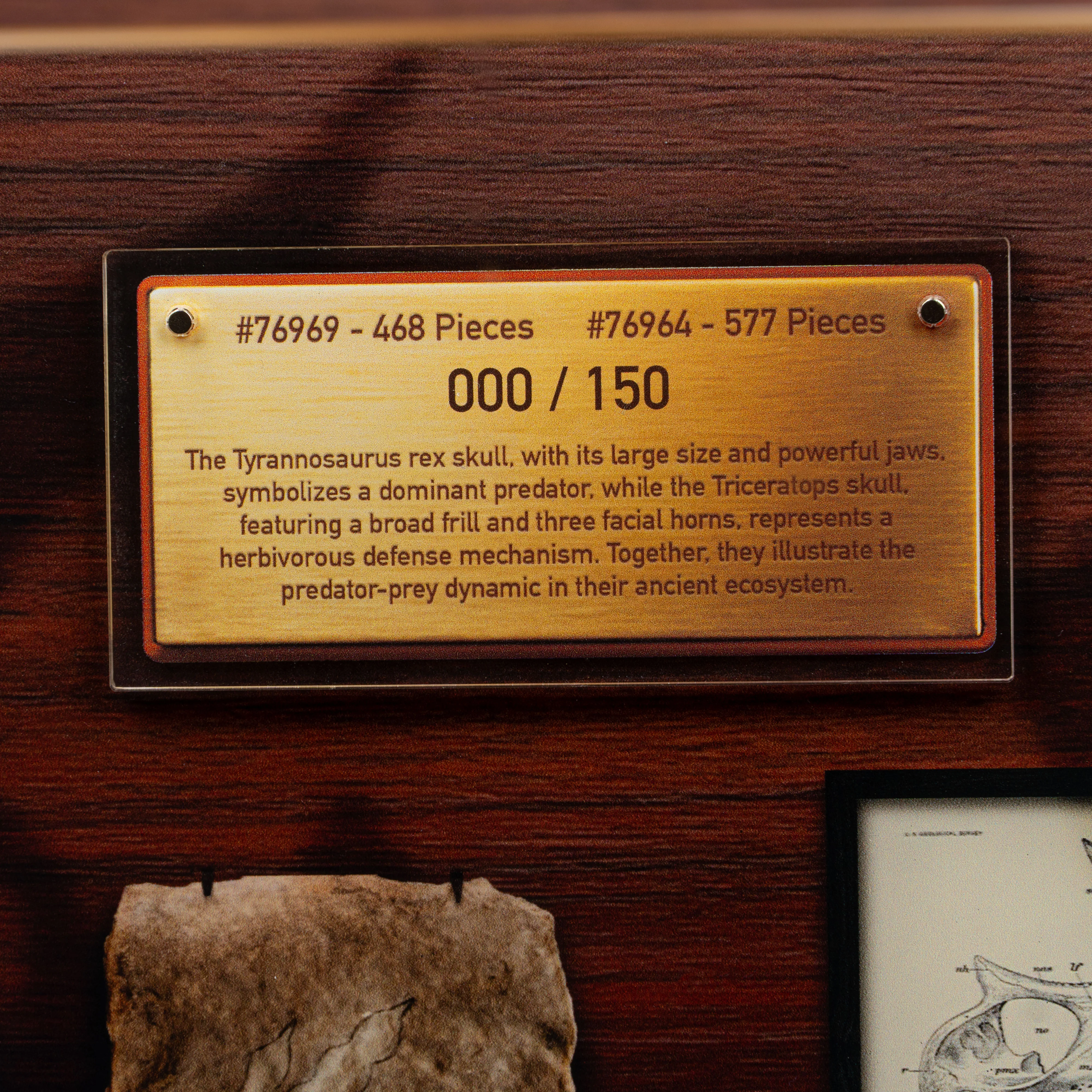 Limited Edition Display Case for LEGO® Jurassic World: Dinosaur Fossils Triceratops Skull and T.Rex Skull (76969, 76964) - Image 11