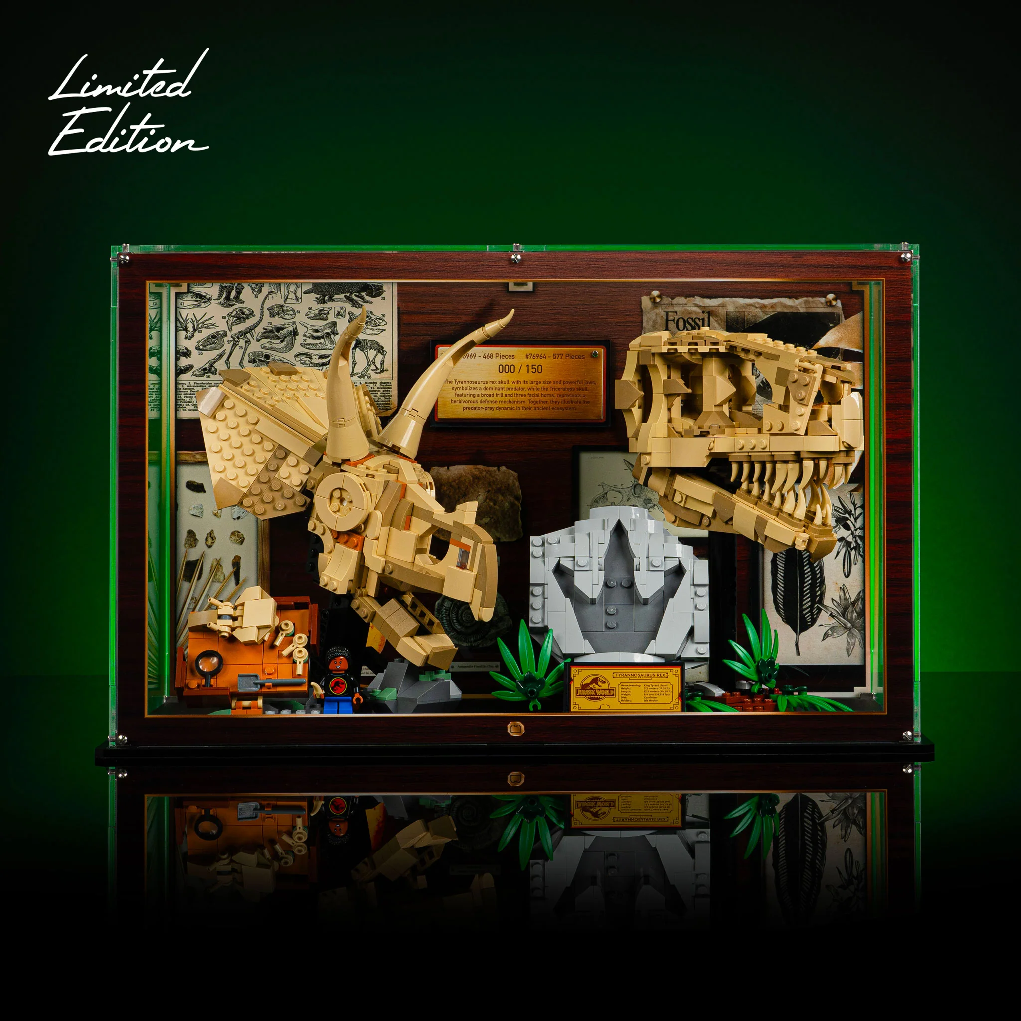 Limited Edition Display Case for LEGO® Jurassic World: Dinosaur Fossils Triceratops Skull and T.Rex Skull (76969, 76964) - Image 2