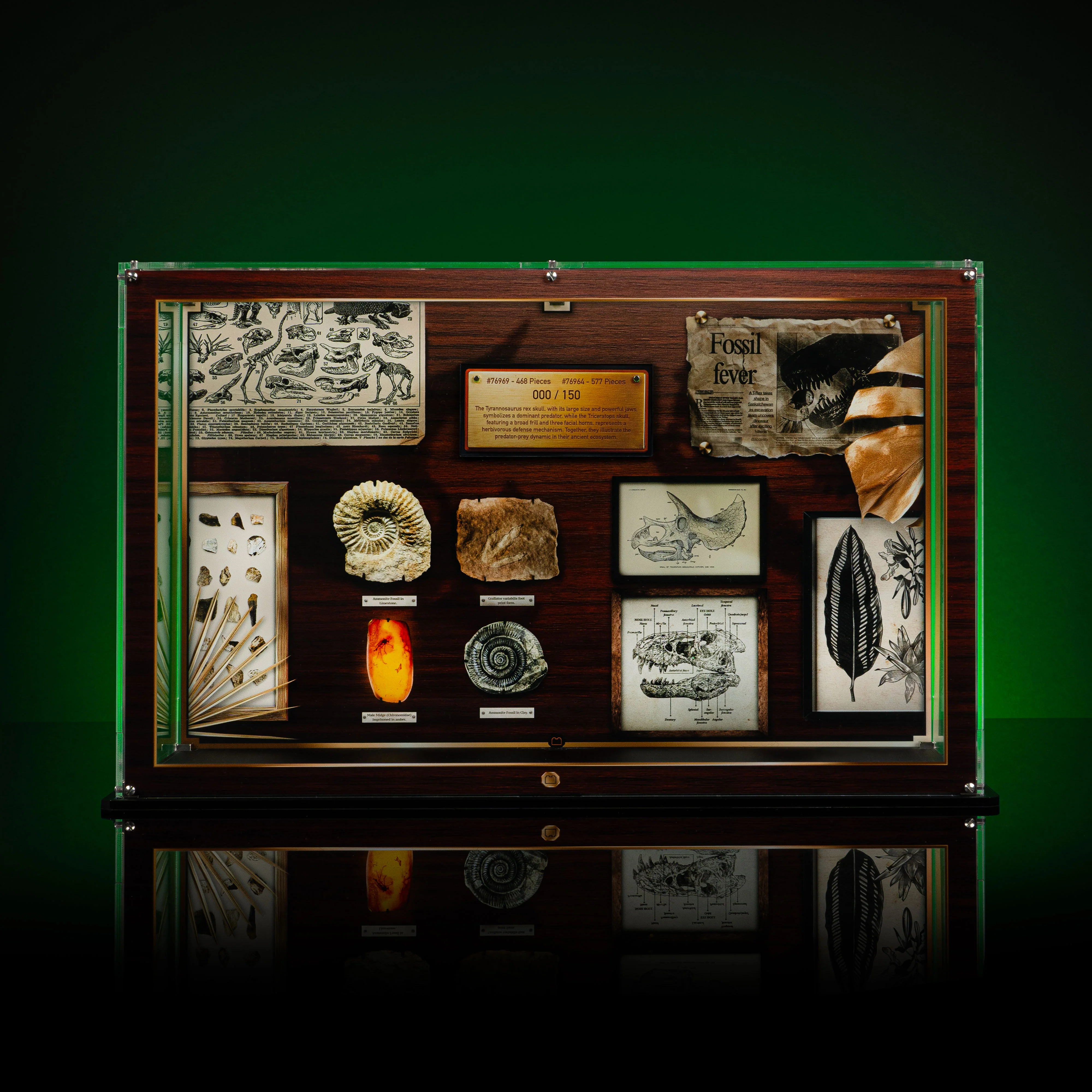 Limited Edition Display Case for LEGO® Jurassic World: Dinosaur Fossils Triceratops Skull and T.Rex Skull (76969, 76964) - Image 3