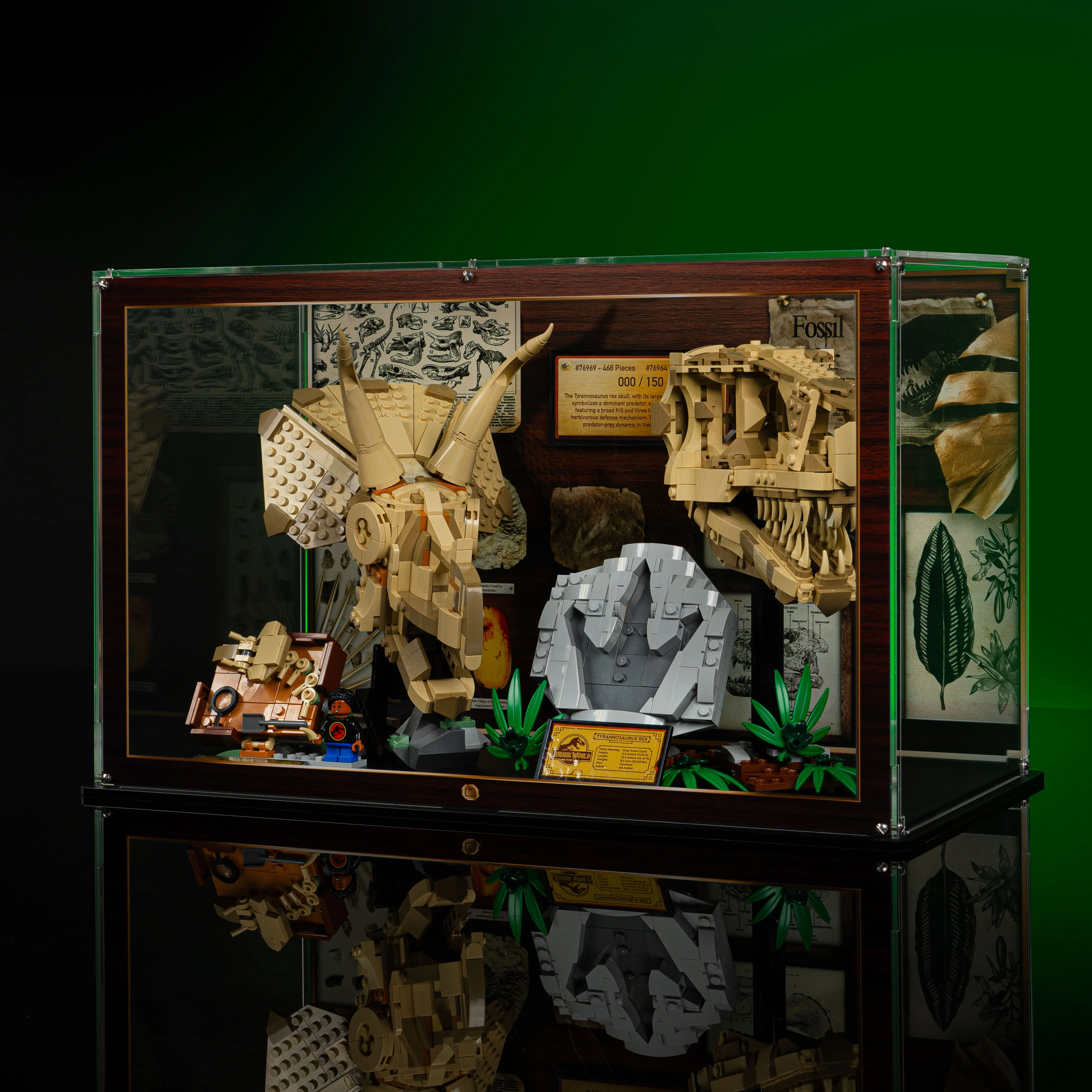 Limited Edition Display Case for LEGO® Jurassic World: Dinosaur Fossils Triceratops Skull and T.Rex Skull (76969, 76964) - Image 4