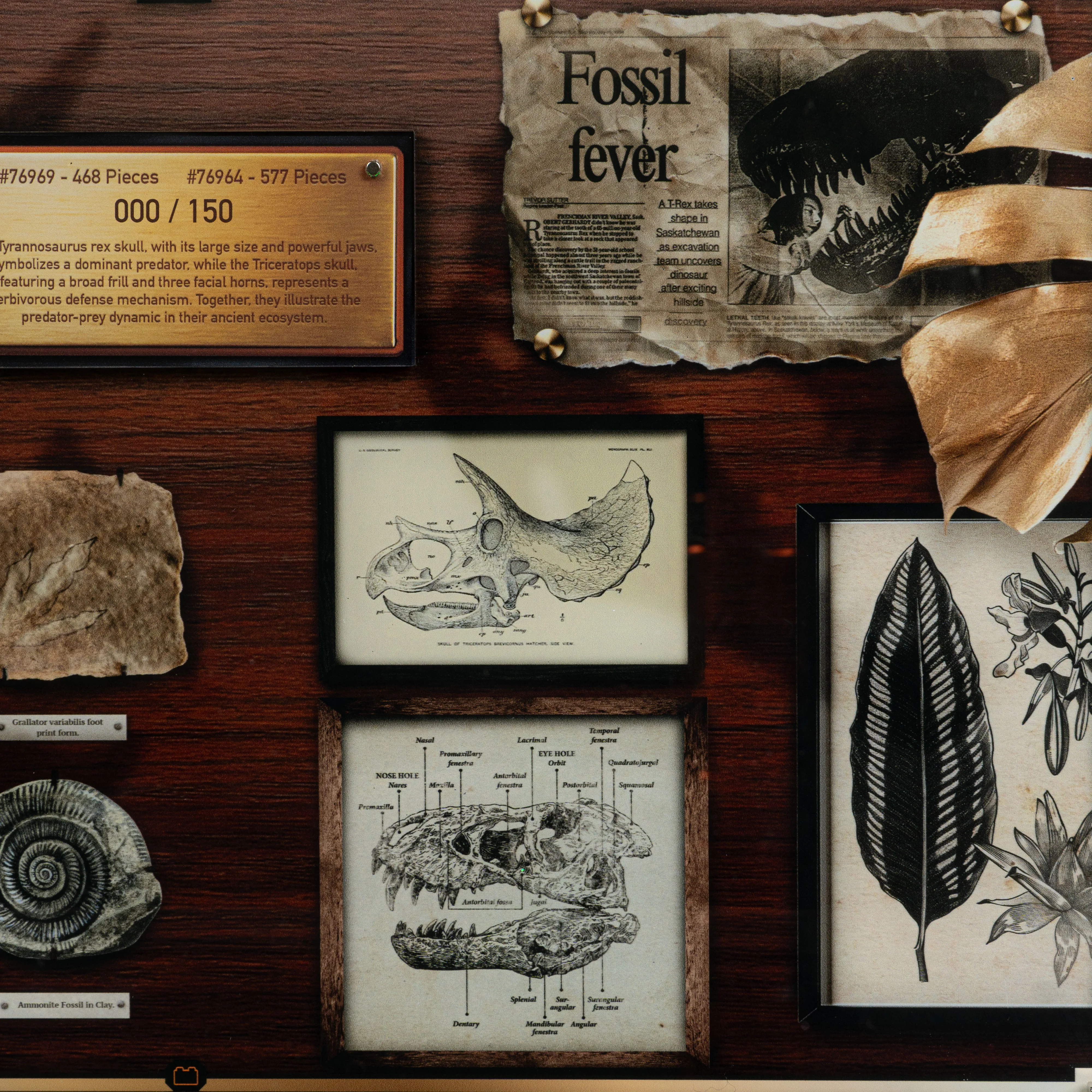 Limited Edition Display Case for LEGO® Jurassic World: Dinosaur Fossils Triceratops Skull and T.Rex Skull (76969, 76964) - Image 6