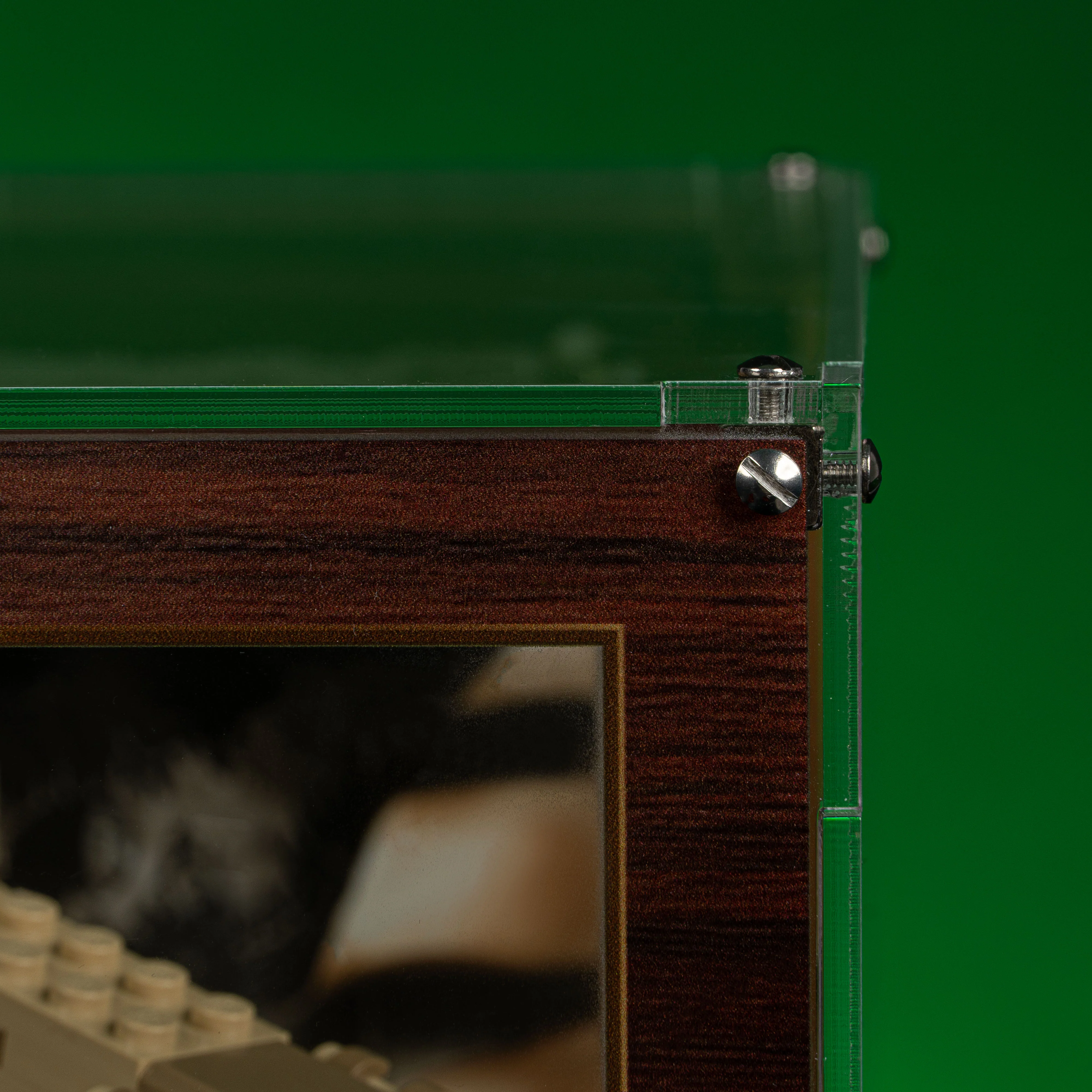 Limited Edition Display Case for LEGO® Jurassic World: Dinosaur Fossils Triceratops Skull and T.Rex Skull (76969, 76964) - Image 7