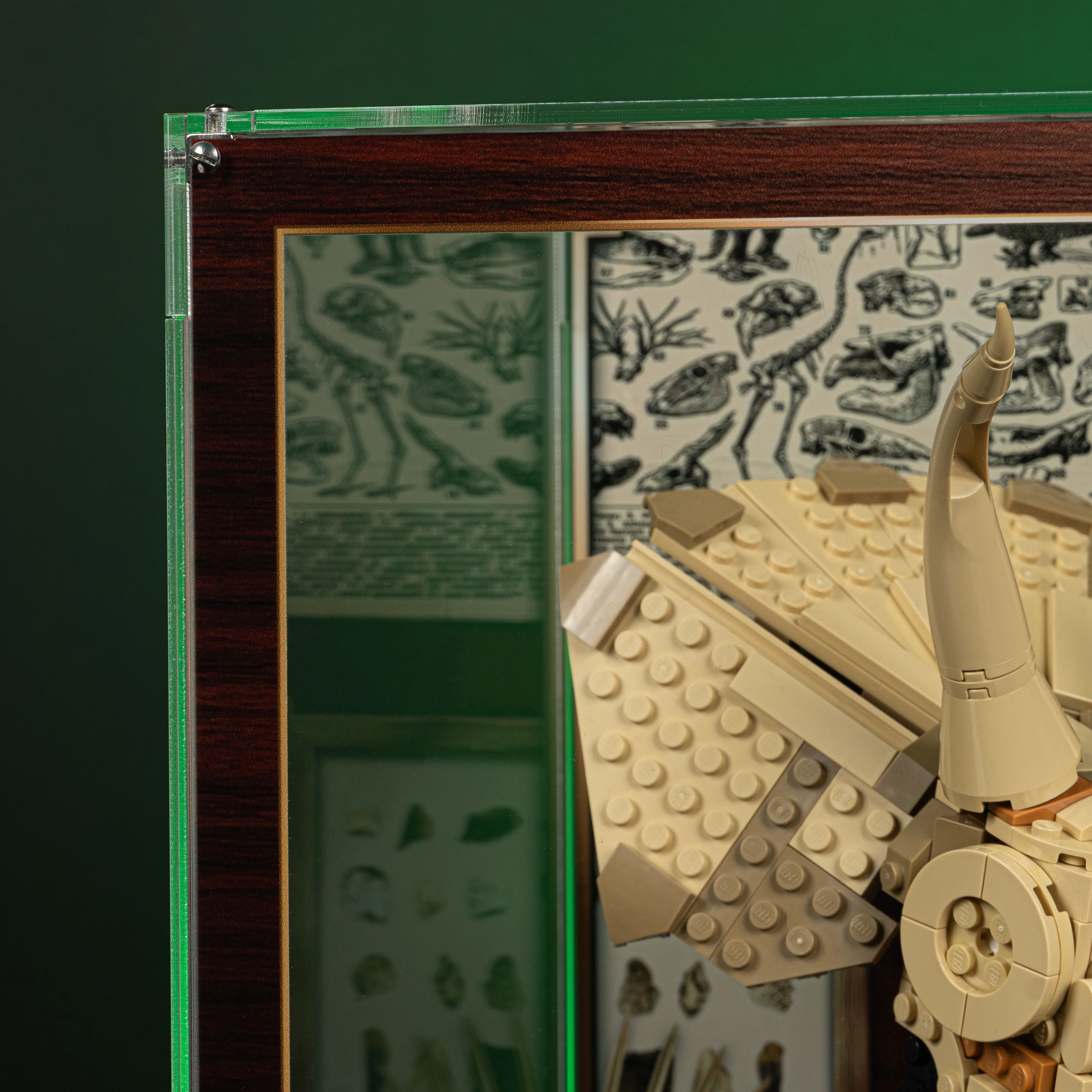 Limited Edition Display Case for LEGO® Jurassic World: Dinosaur Fossils Triceratops Skull and T.Rex Skull (76969, 76964) - Image 9