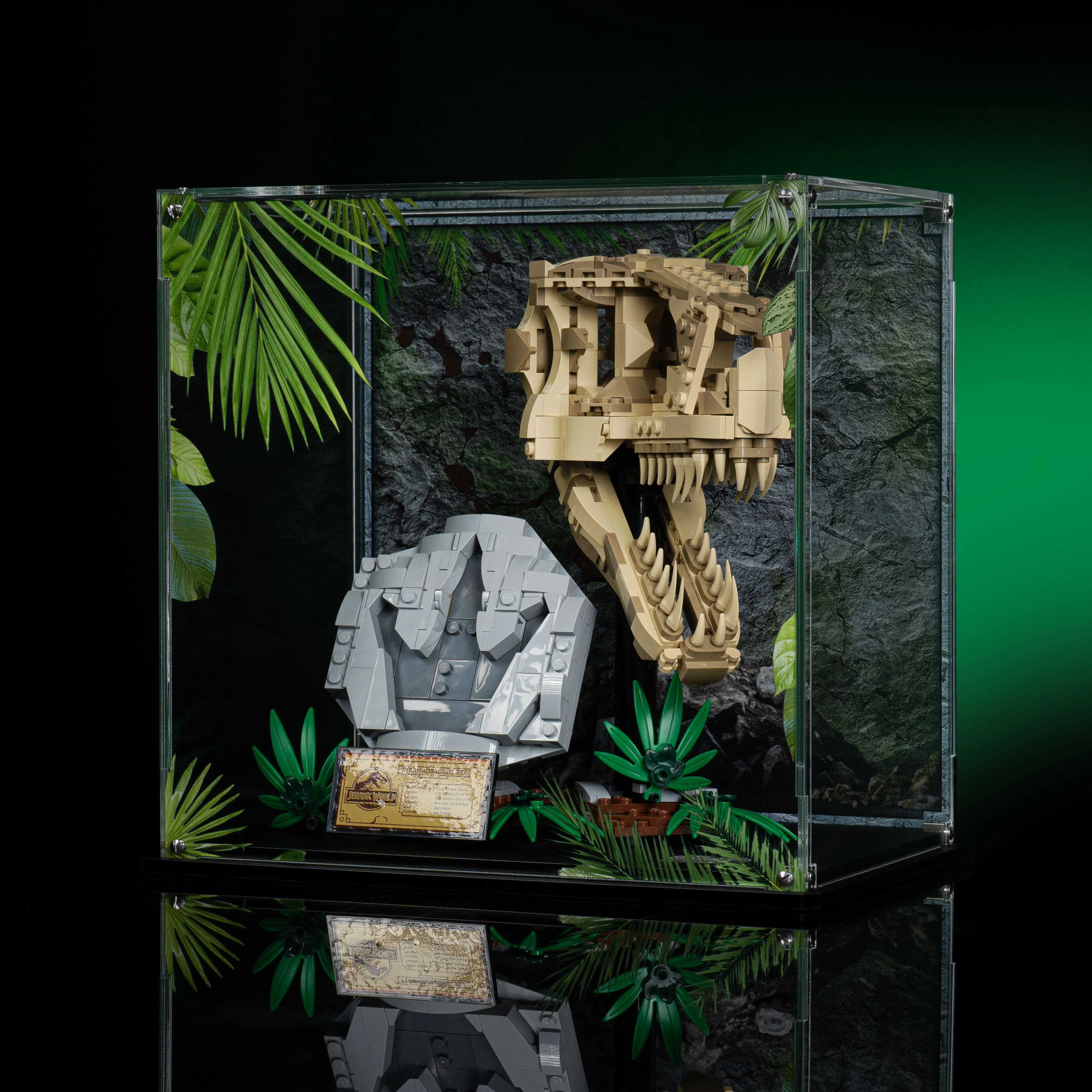 Limited Edition Display Case for LEGO® Jurassic World: Dinosaur Fossils: T. rex Skull (76964) - Image 3