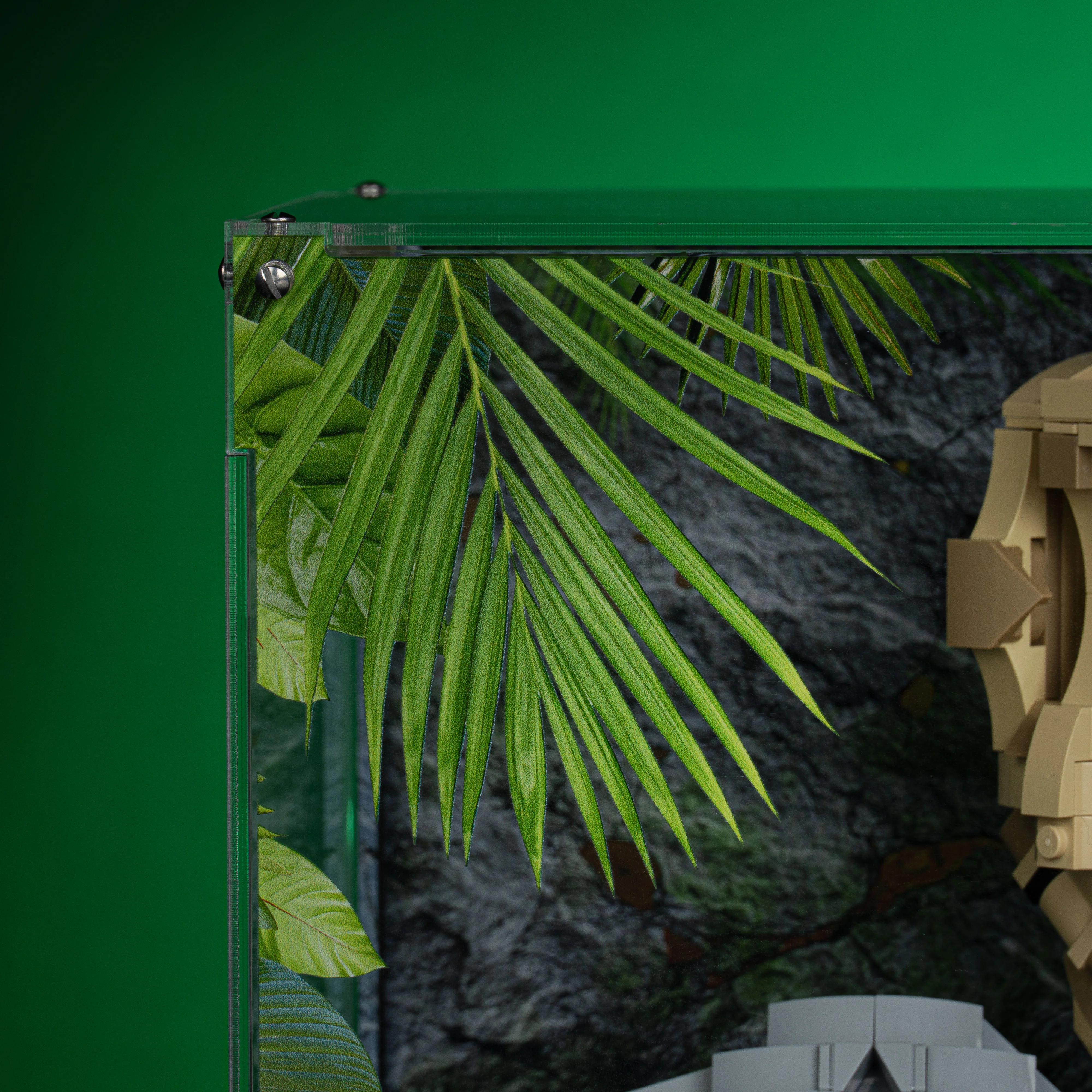Limited Edition Display Case for LEGO® Jurassic World: Dinosaur Fossils: T. rex Skull (76964) - Image 6