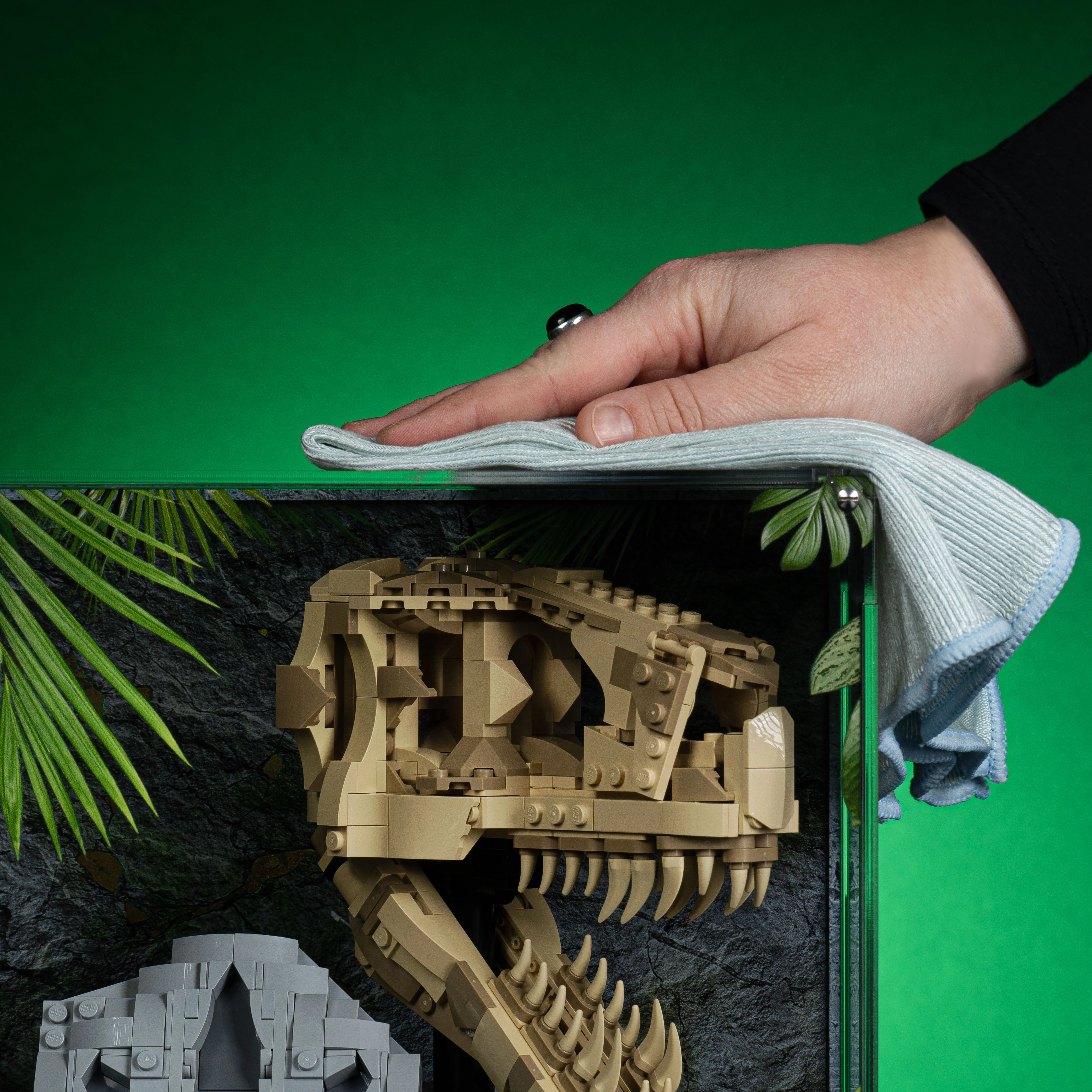 Limited Edition Display Case for LEGO® Jurassic World: Dinosaur Fossils: T. rex Skull (76964) - Image 7