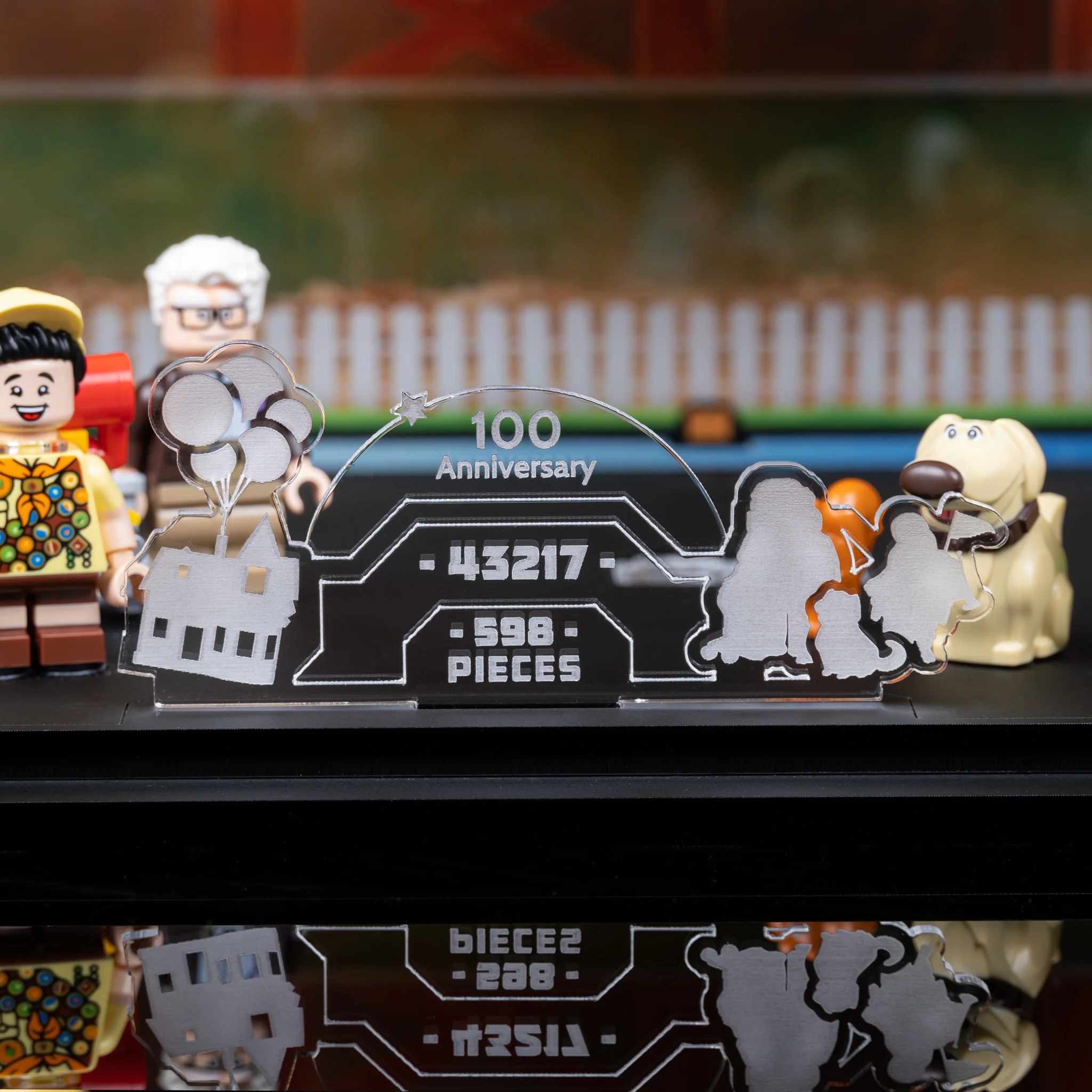 Limited Edition Display Case for LEGO® ‘Up’ House (43217) - Image 17