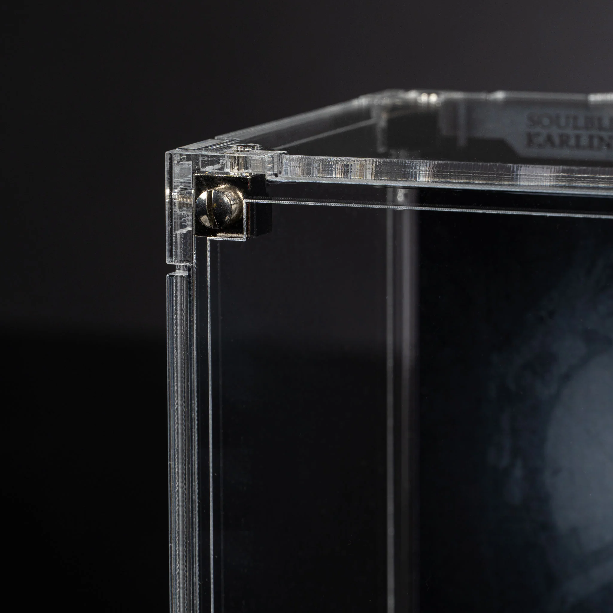 Display Case for Warhammer®+ Soulblight Gravelords - Karlina Von Carstein - Image 3