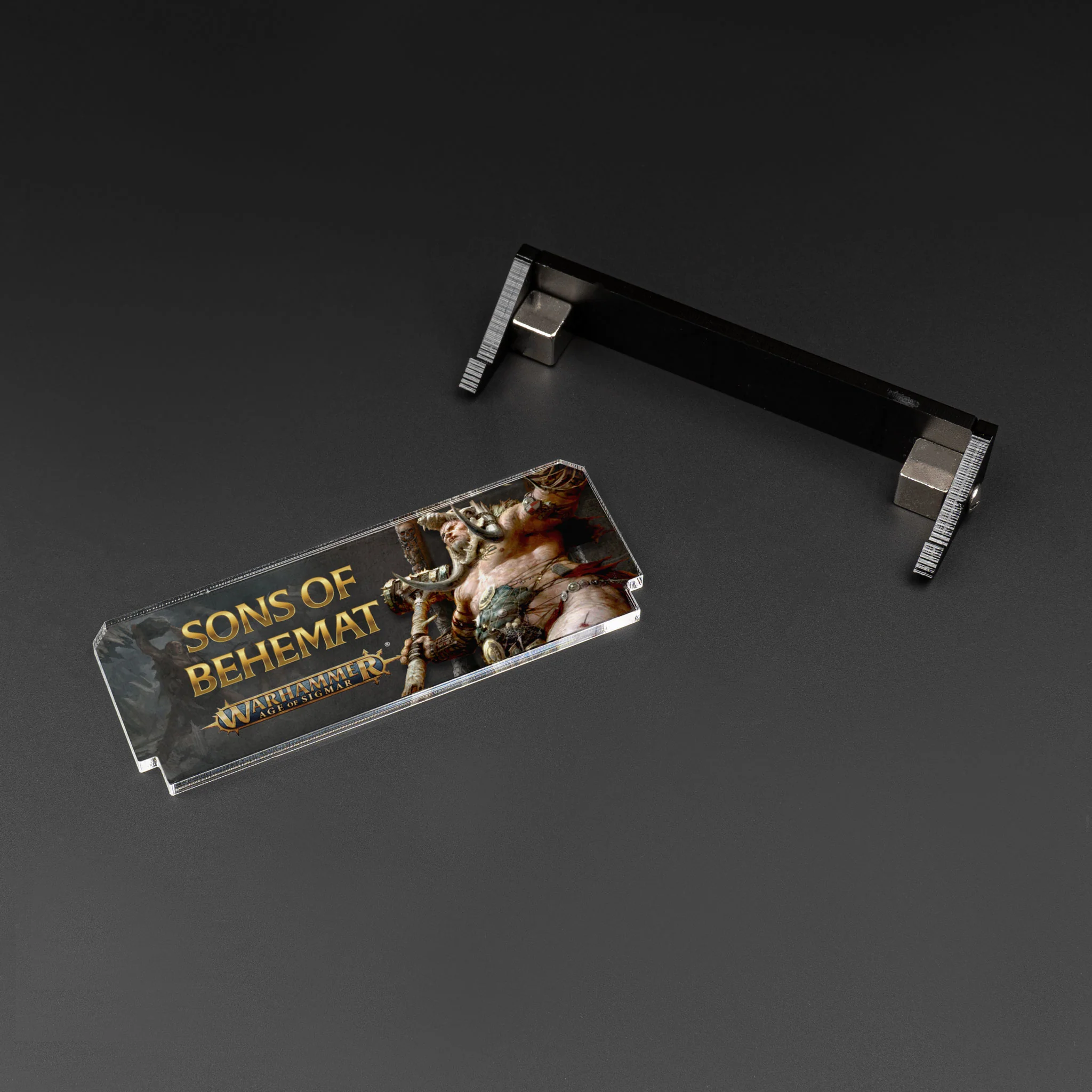 Plaque for Warhammer® Age of Sigmar - Sons of Behemat - Image 3